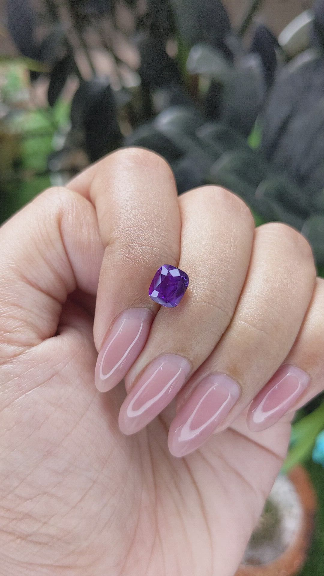 2.51 Ct. Purple Sapphire from Ceylon (Sri Lanka) Size Video