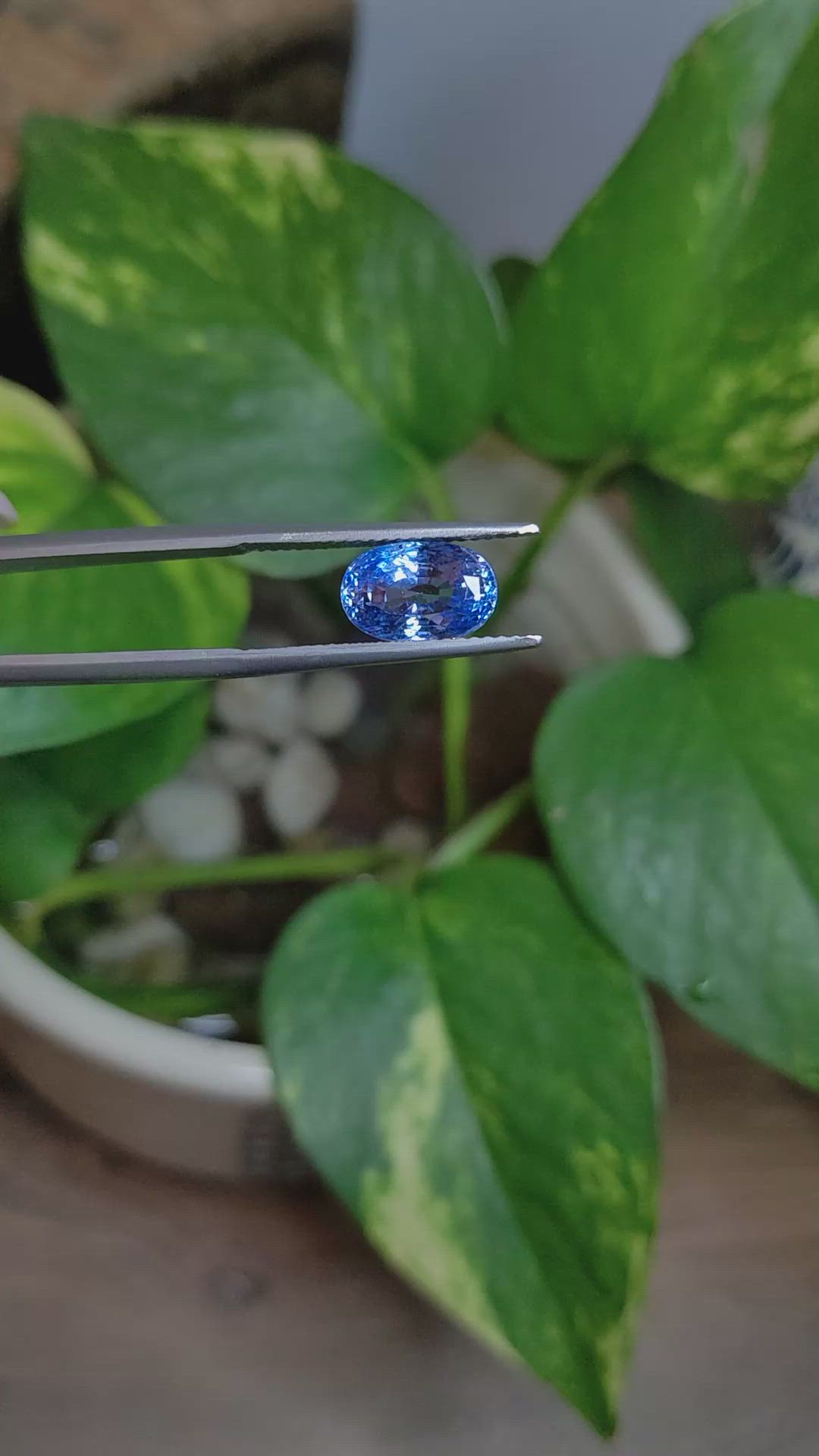 4.01 Ct. Blue Sapphire from Ceylon (Sri Lanka) Size Video