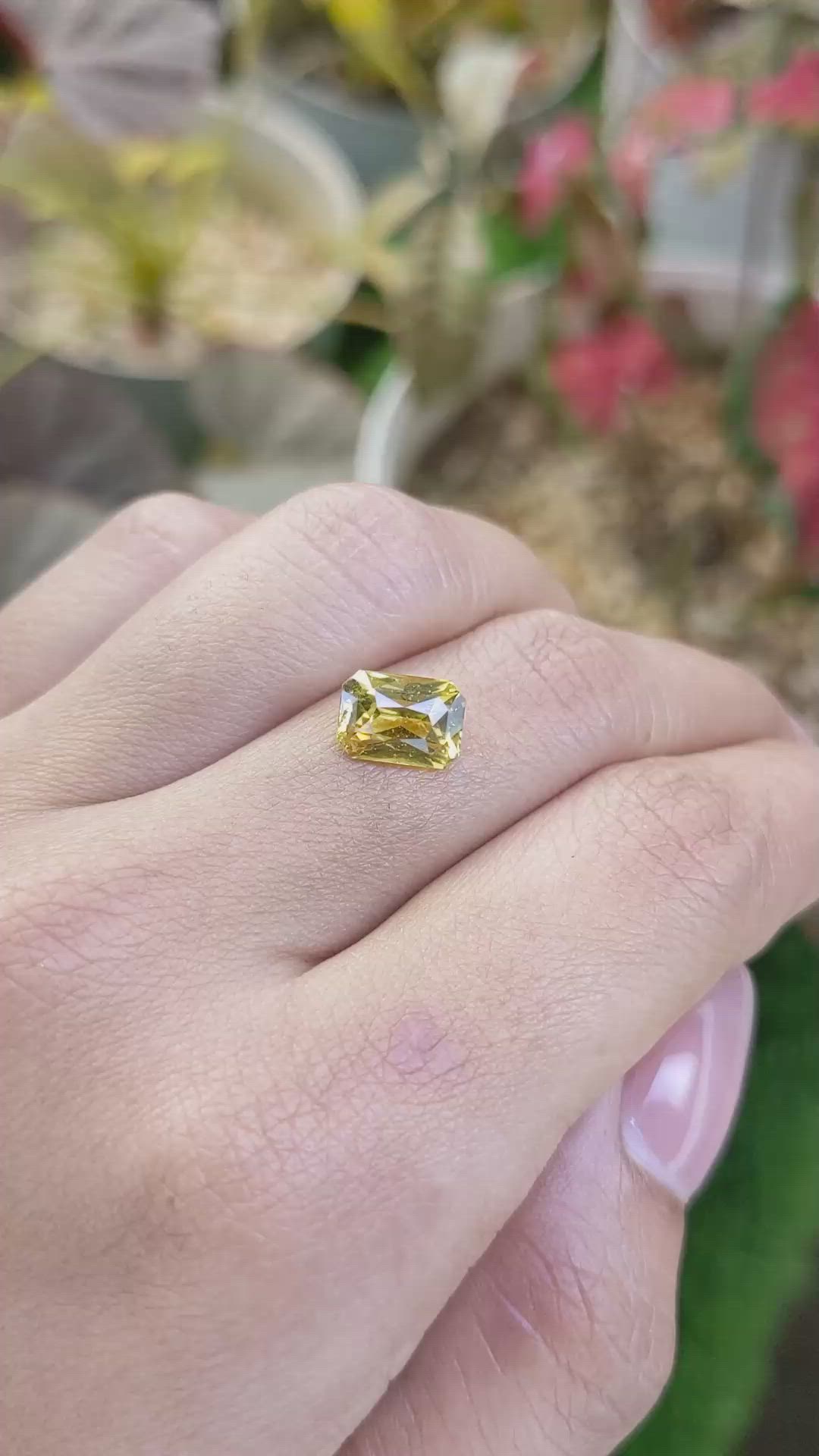 2.72 Ct. Greenish Yellow Sapphire from Ceylon (Sri Lanka) Size Video