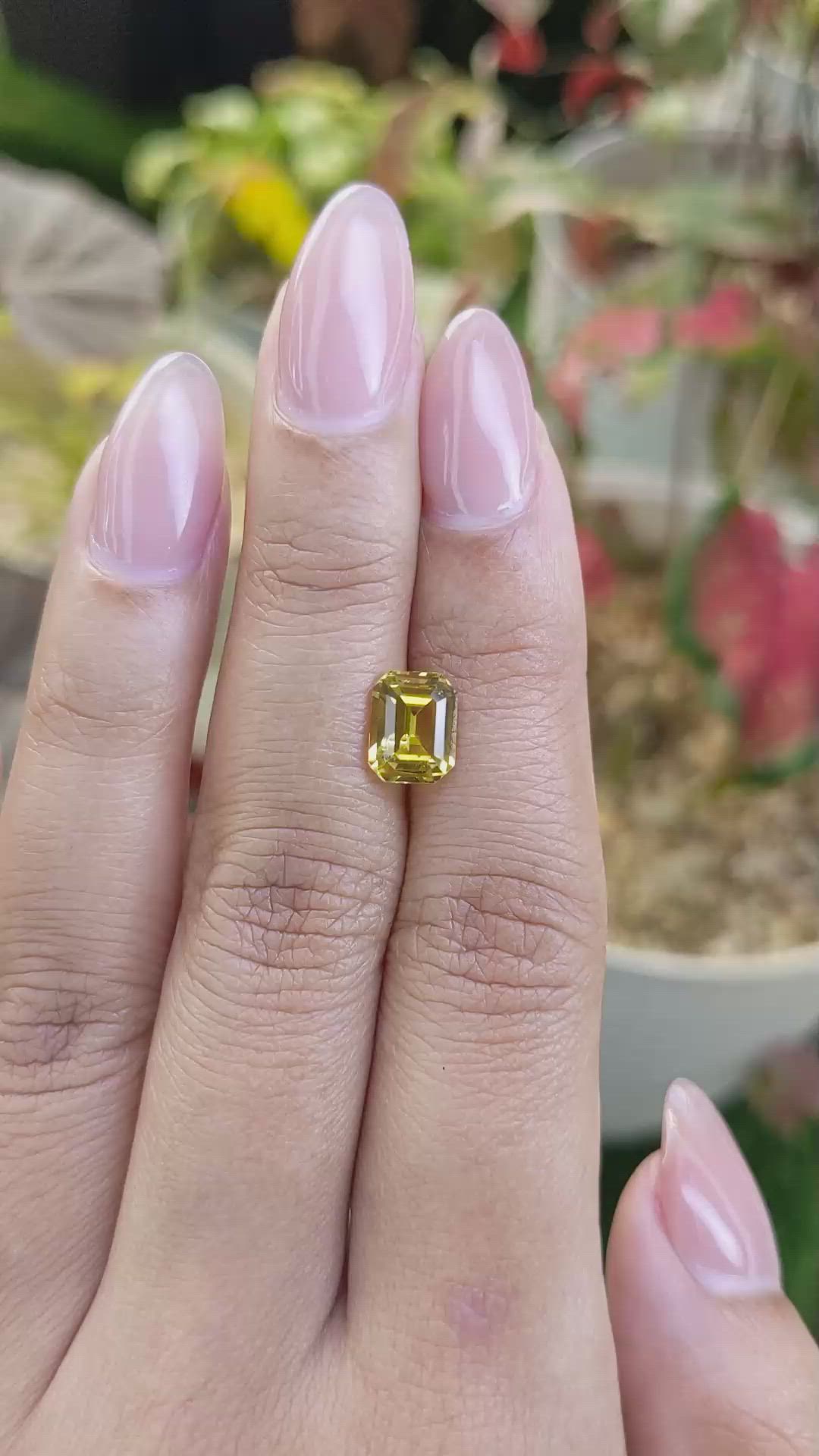 2.30 Ct. Greenish Yellow Sapphire from Ceylon (Sri Lanka) Size Video