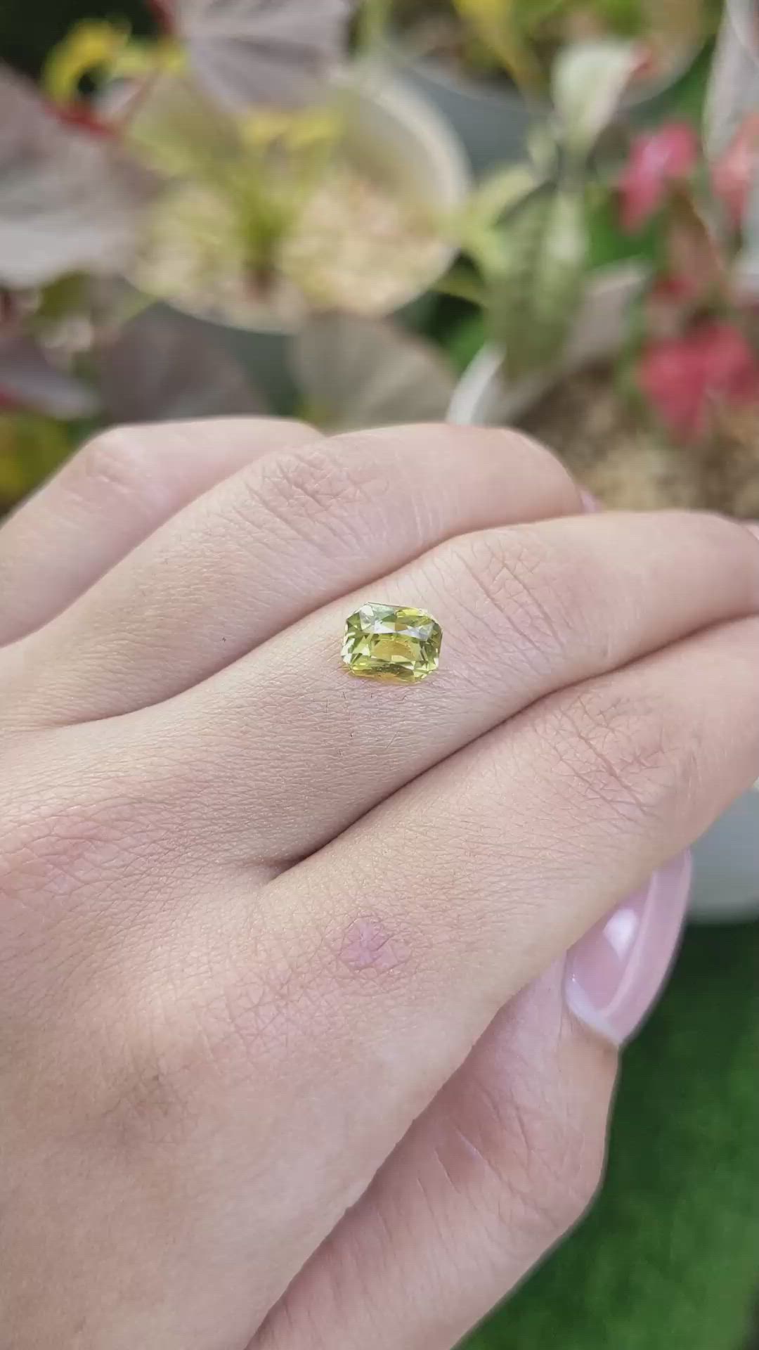 1.96 Ct. Greenish Yellow Sapphire from Ceylon (Sri Lanka) Size Video