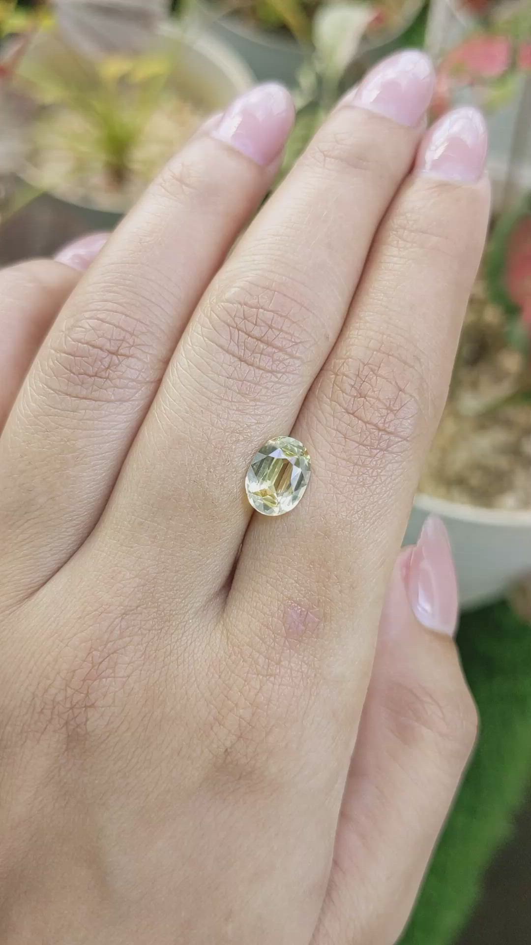 2.29 Ct. Yellow Sapphire from Ceylon (Sri Lanka) Size Video
