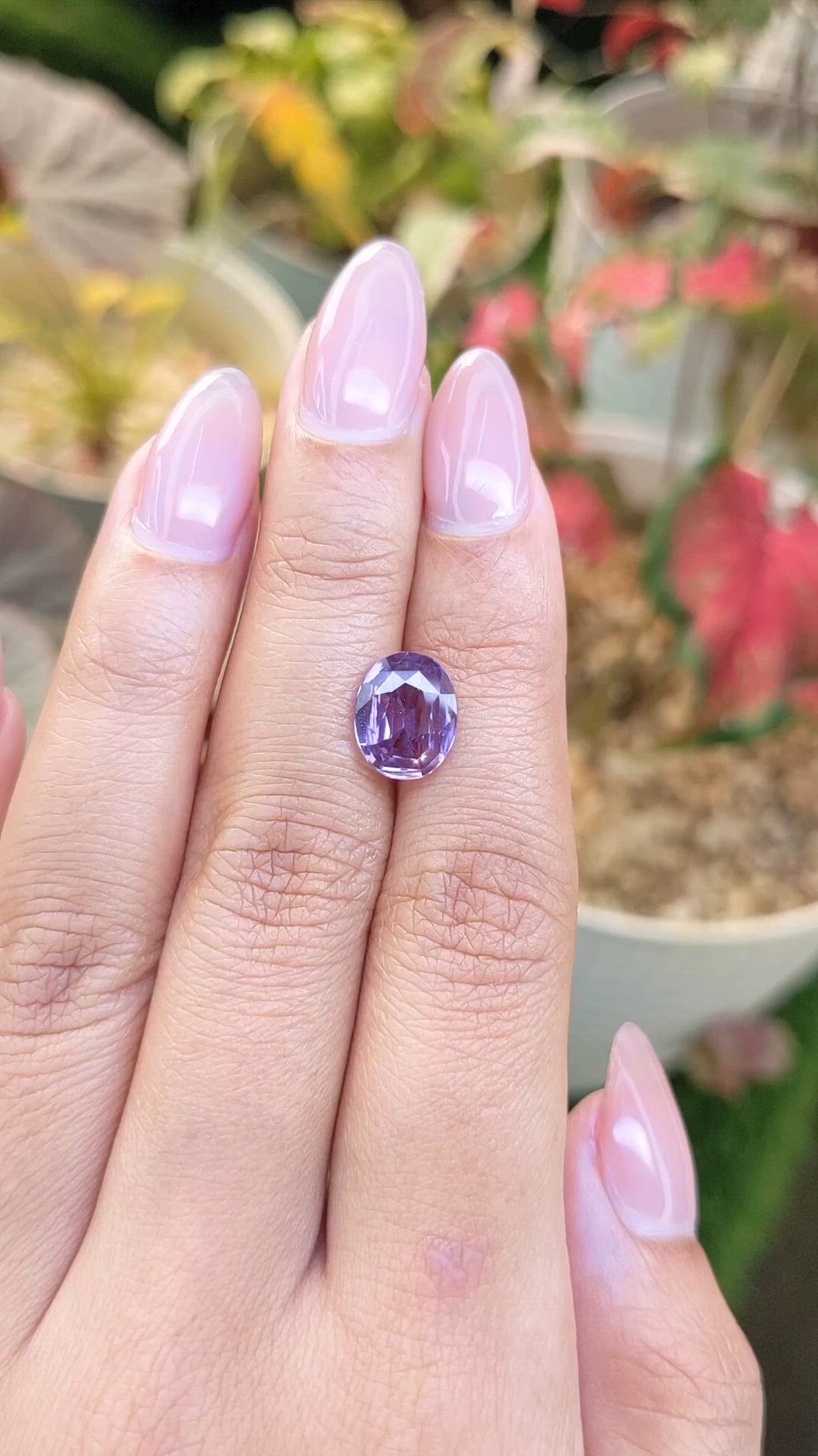 2.87 Ct. Purple Sapphire from Ceylon (Sri Lanka) Size Video