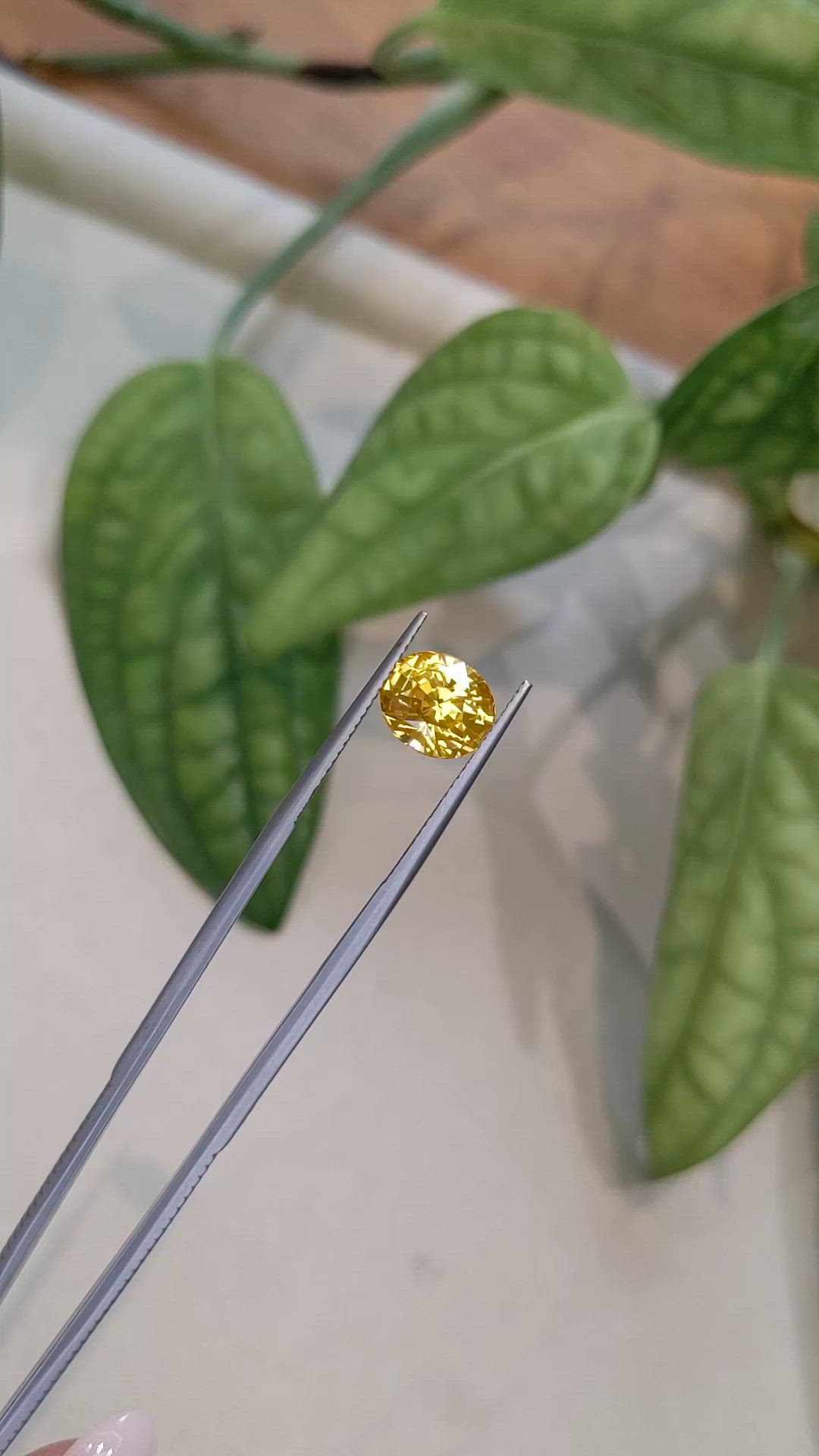 4.03 Ct. Yellow Sapphire from Ceylon (Sri Lanka) Size Video