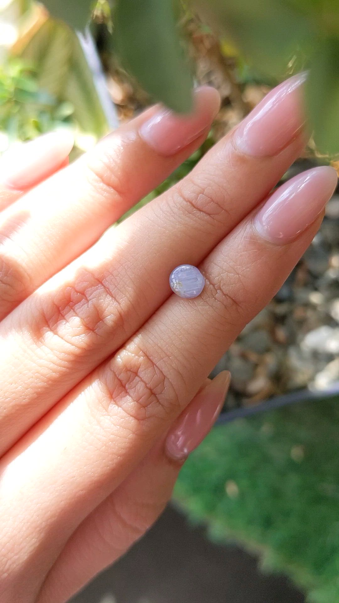1.33 Ct. Purple Star Sapphire from Ceylon (Sri Lanka) Size Video