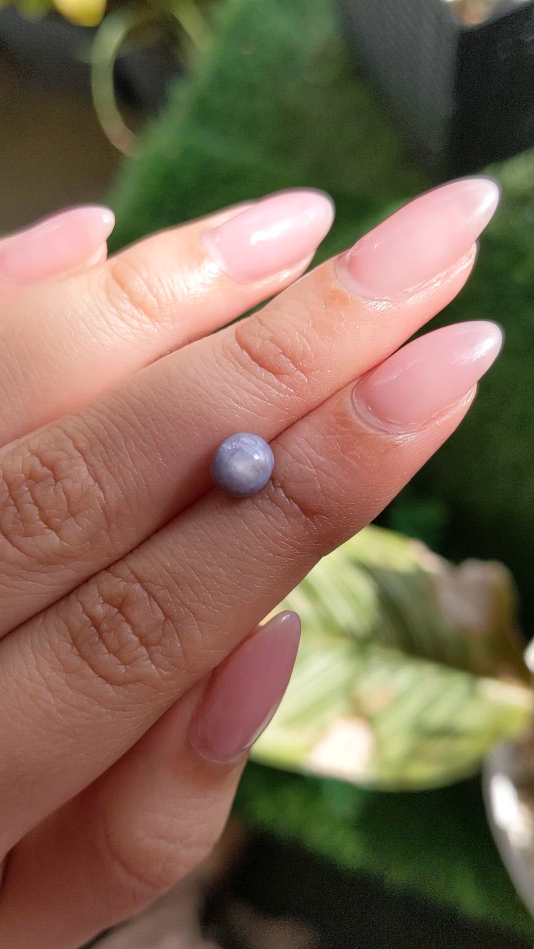 2.52 Ct. Blue Star Sapphire from Ceylon (Sri Lanka) Size Video