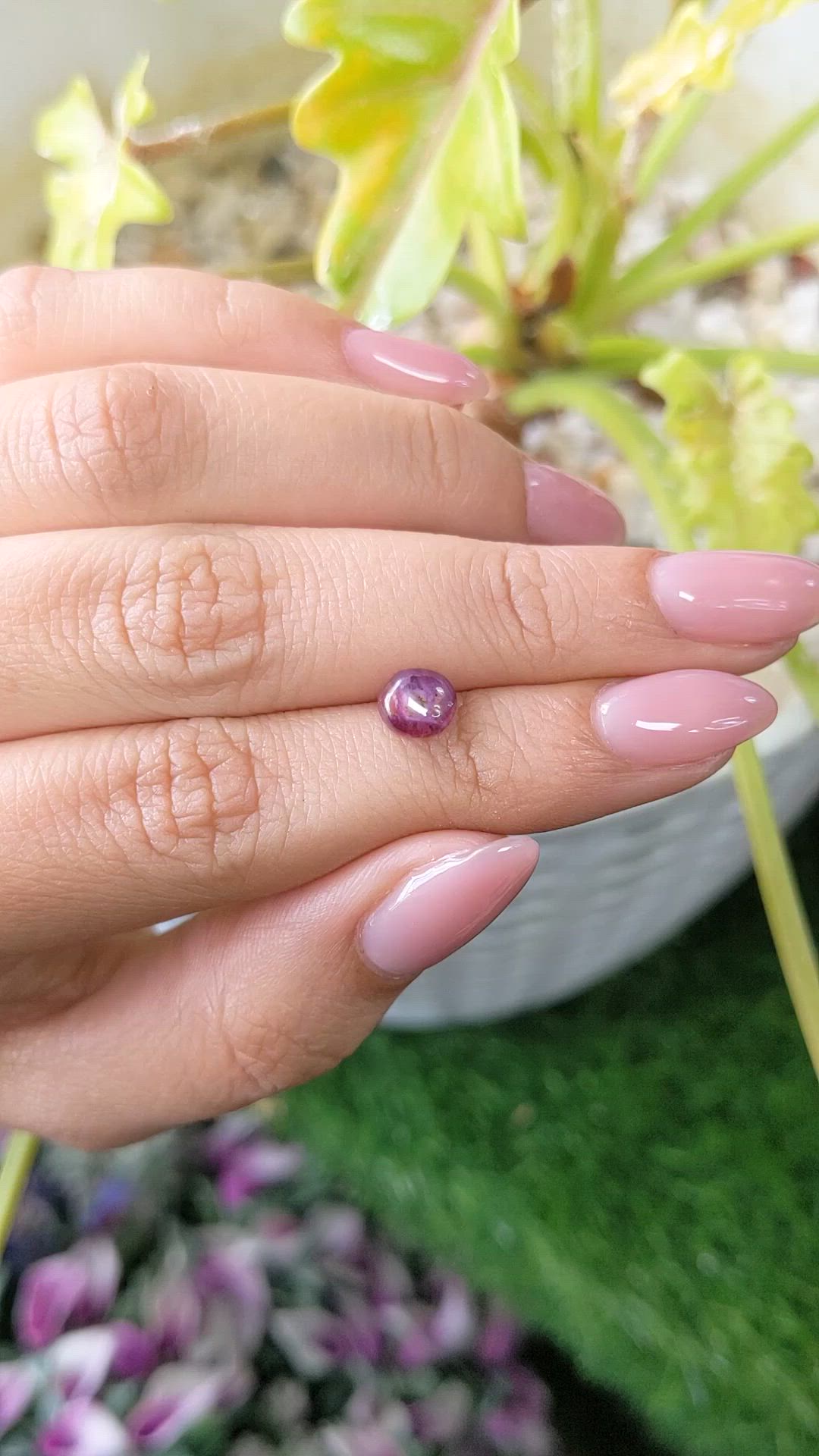 1.51 Ct. Pinkish Purple Star Sapphire from Ceylon (Sri Lanka) Size Video