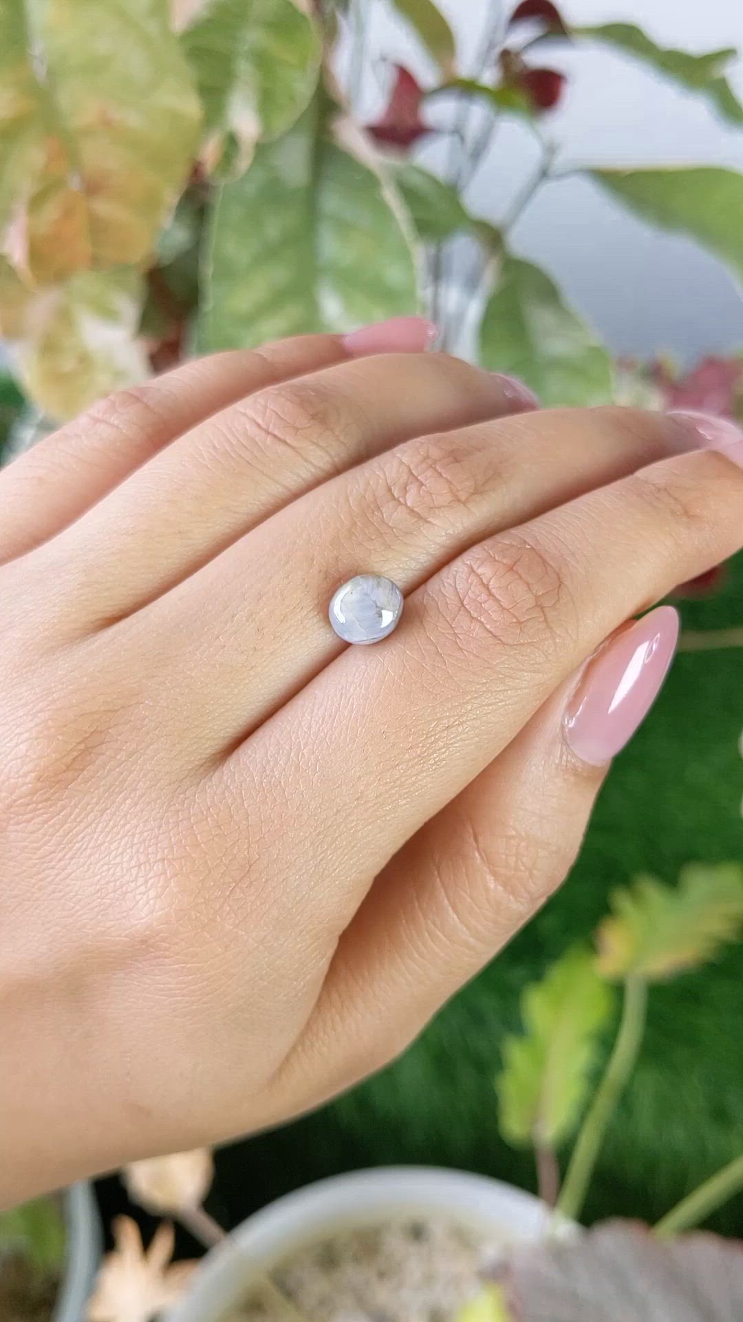 2.95 Ct. Bluish Grey Star Sapphire from Ceylon (Sri Lanka) Size Video