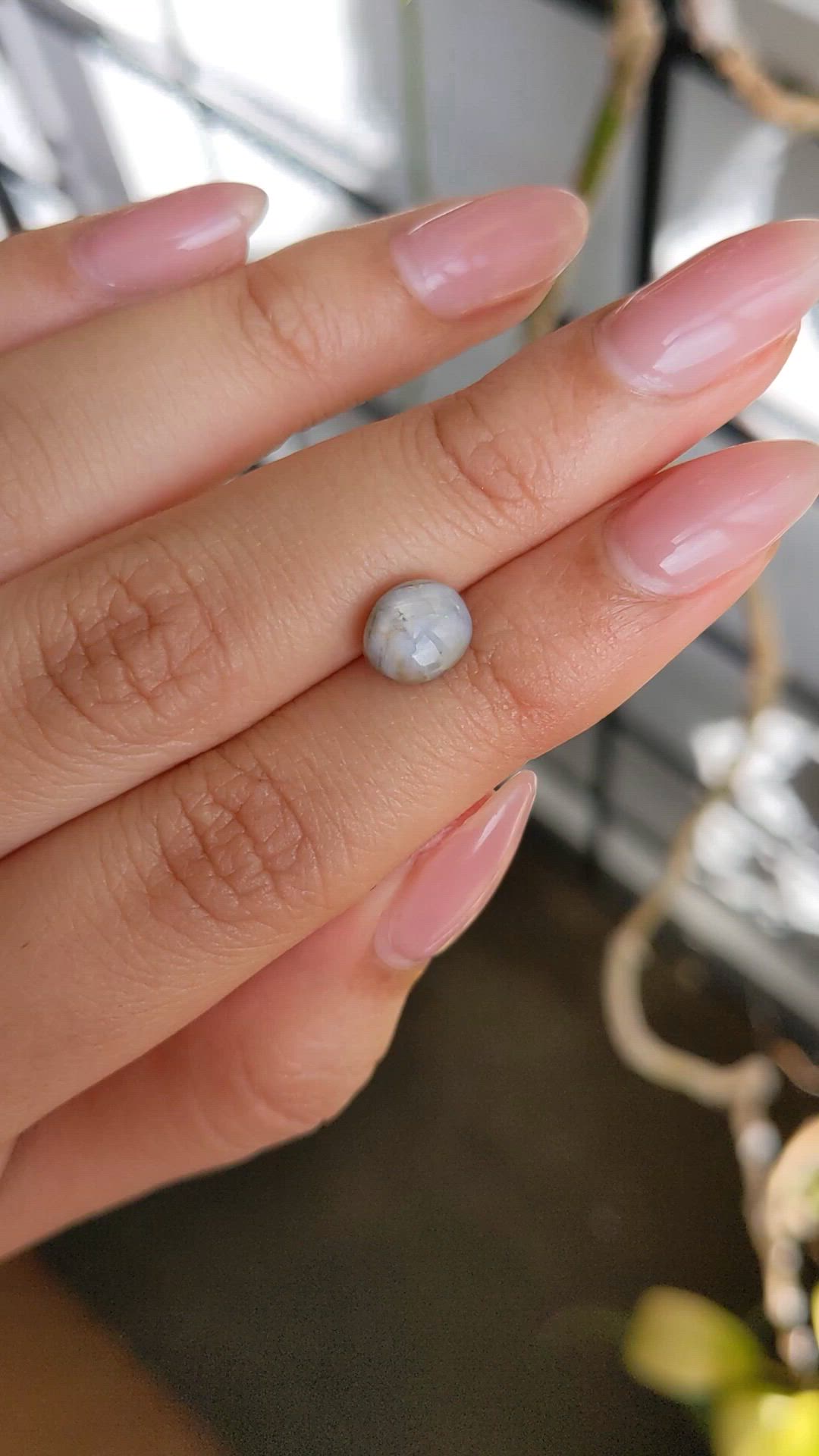 2.95 Ct. Bluish Grey Star Sapphire from Ceylon (Sri Lanka) Size Video