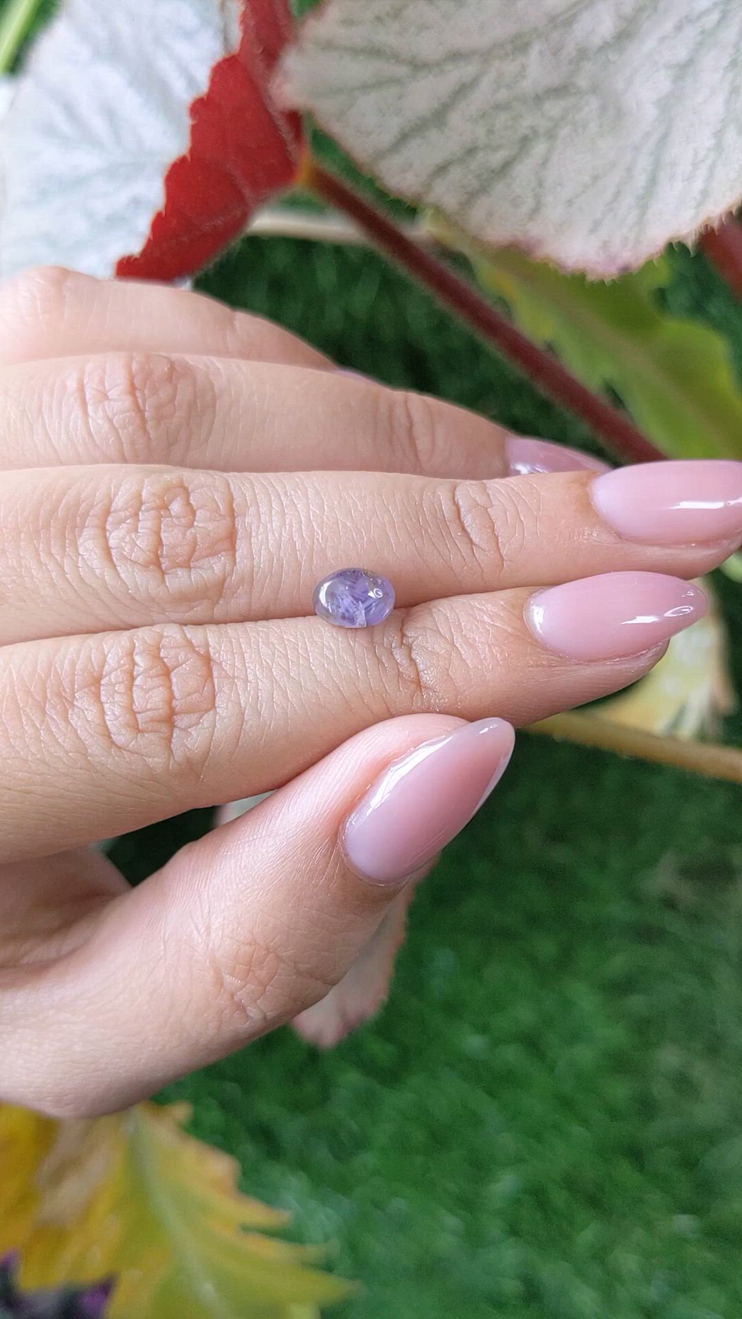 2.01 Ct. Purple Star Sapphire from Ceylon (Sri Lanka) Size Video