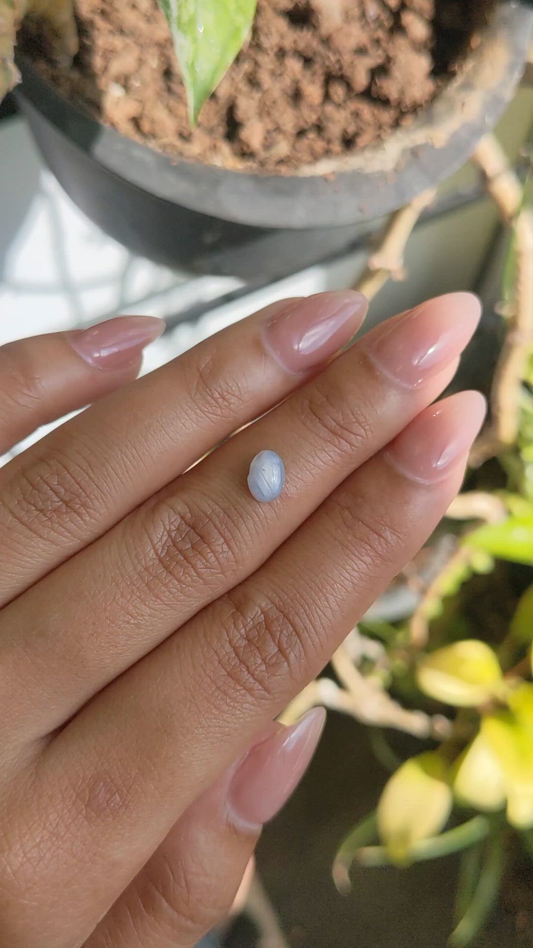 1.08 Ct. Bluish Grey Star Sapphire from Ceylon (Sri Lanka) Size Video