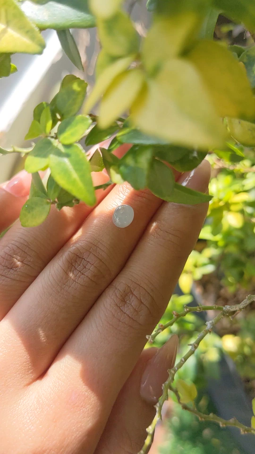 1.51 Ct. Bluish Grey Cabochon Star Sapphire from Ceylon (Sri Lanka) Size Video