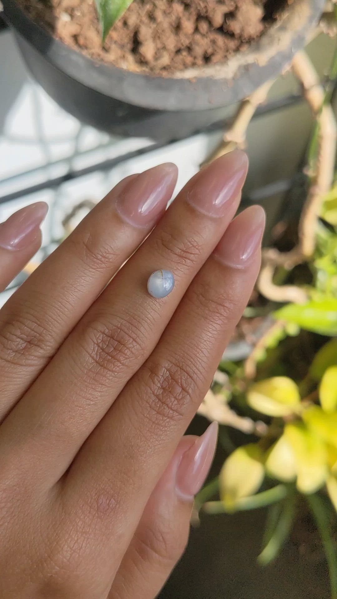 1.51 Ct. Bluish Grey Cabochon Star Sapphire from Ceylon (Sri Lanka) Size Video
