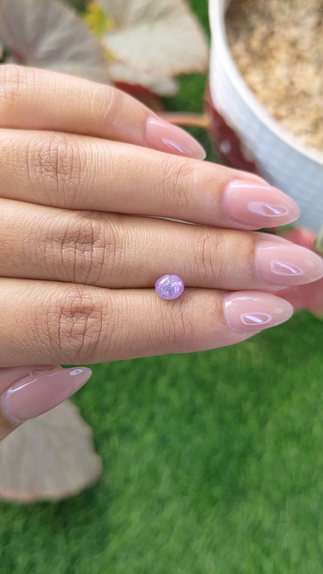 1.18 Ct. Purple Star Sapphire from Ceylon (Sri Lanka) Size Video