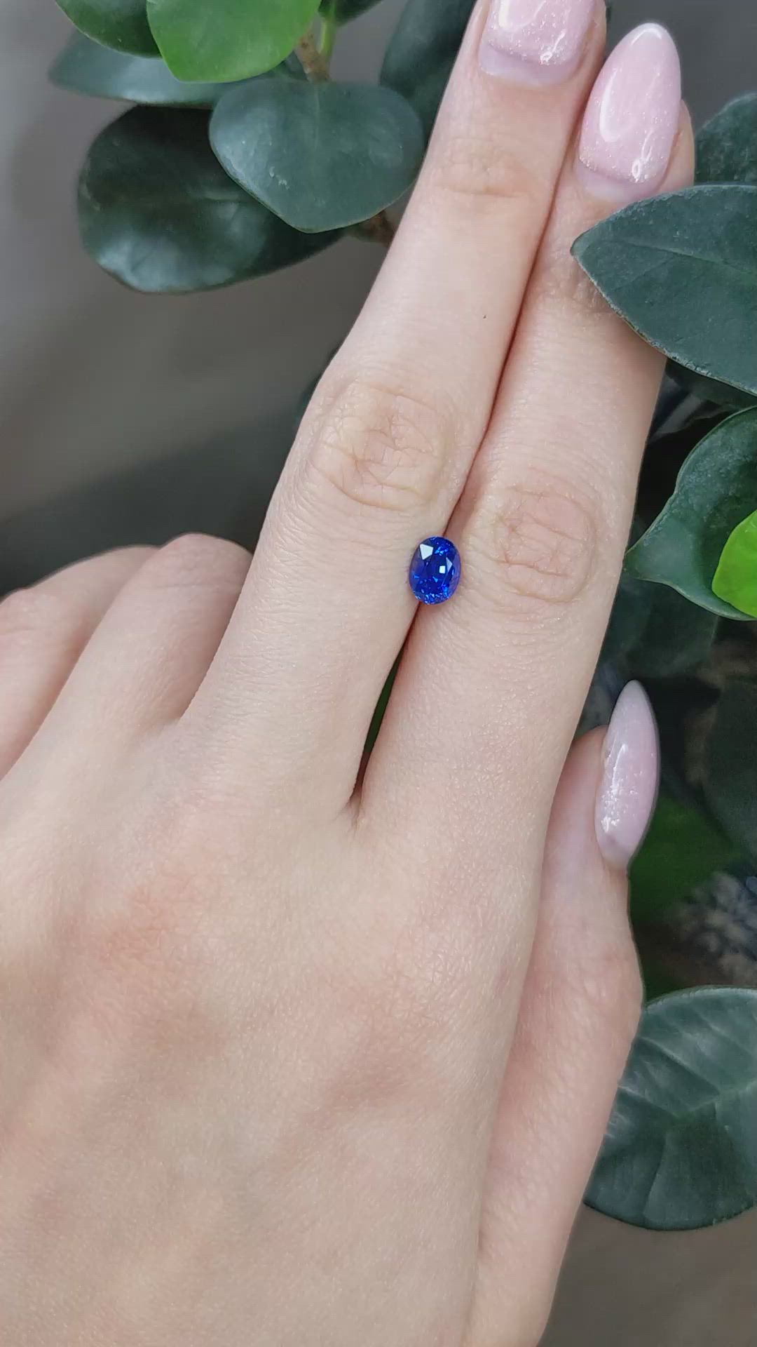 1.16 Ct. Blue Sapphire from Ceylon (Sri Lanka) Size Video