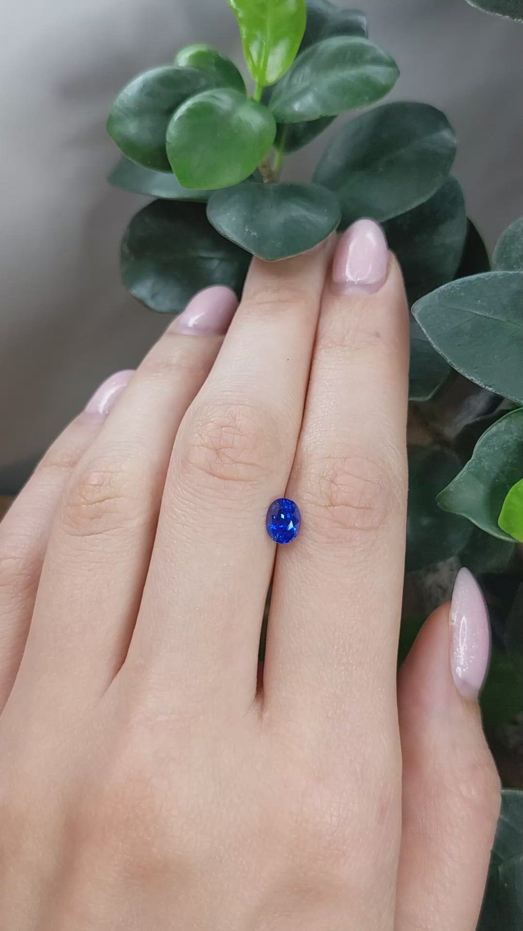 1.16 Ct. Blue Sapphire from Ceylon (Sri Lanka) Size Video