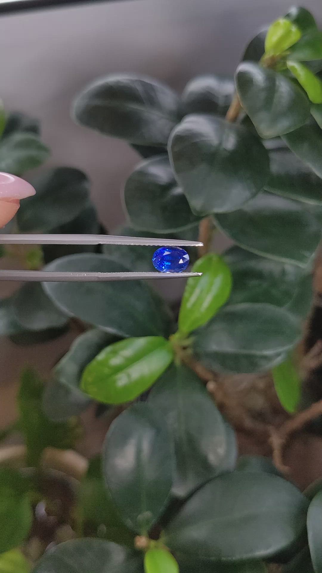 1.16 Ct. Blue Sapphire from Ceylon (Sri Lanka) Size Video