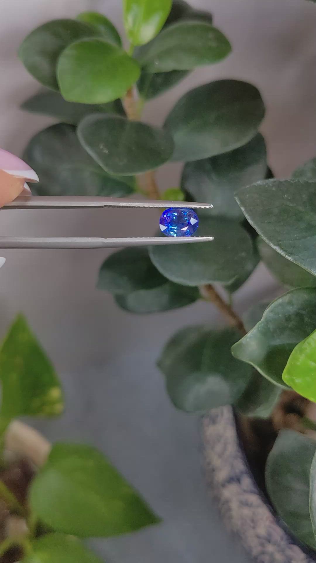 1.27 Ct. Blue Sapphire from Ceylon (Sri Lanka) Size Video