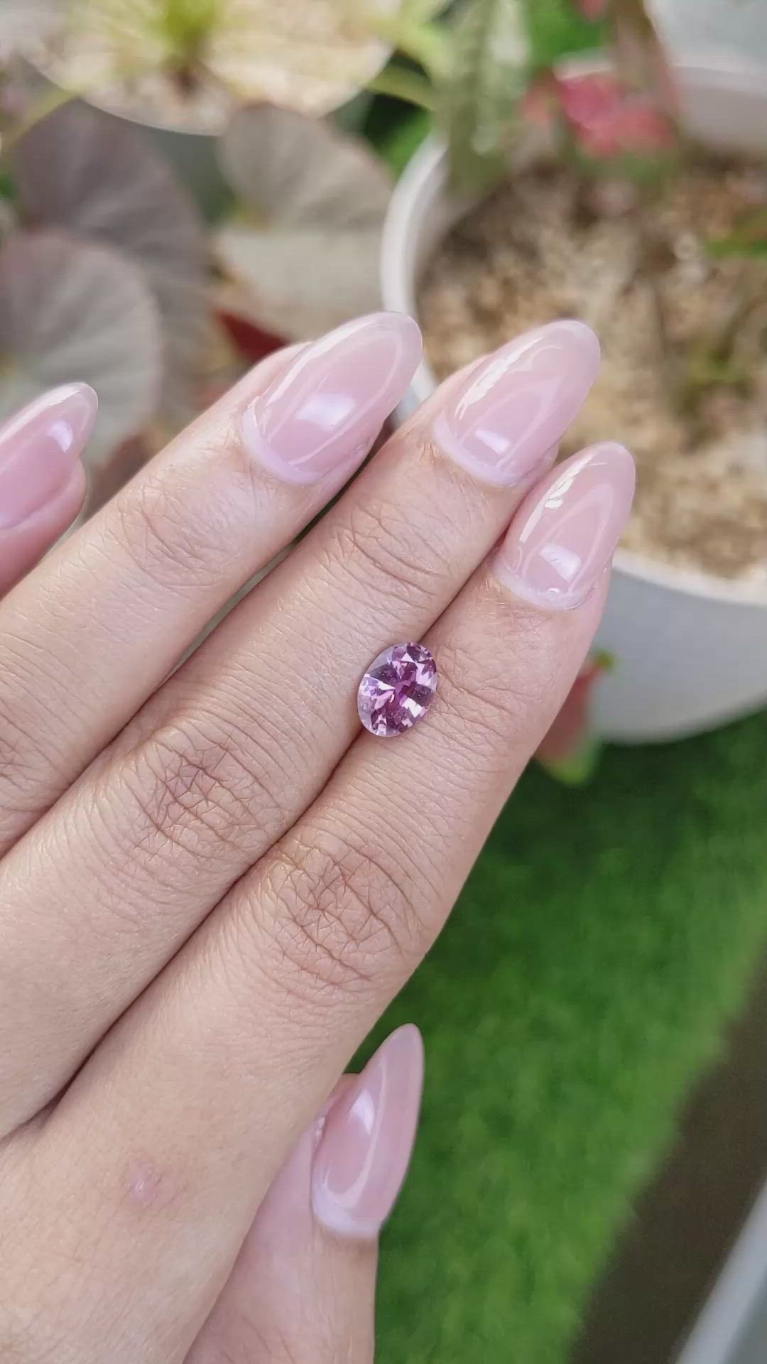 1.55 Ct. Purplish Pink Sapphire from Ceylon (Sri Lanka) Size Video