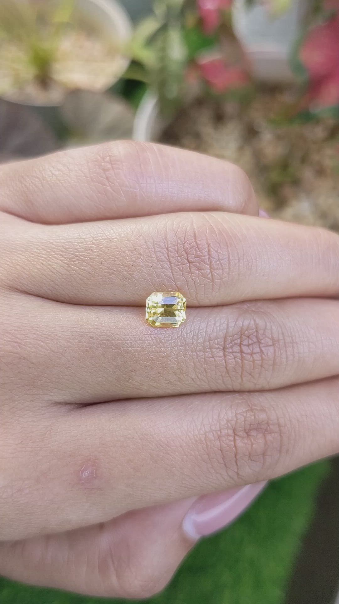 1.51 Ct. Yellow Sapphire from Ceylon (Sri Lanka) Size Video