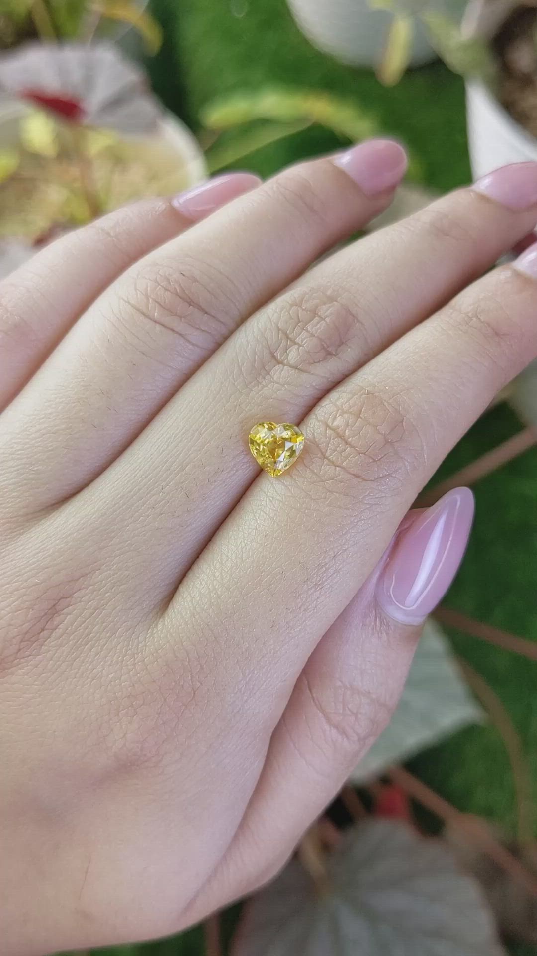 1.47 Ct. Yellow Sapphire from Ceylon (Sri Lanka) Size Video