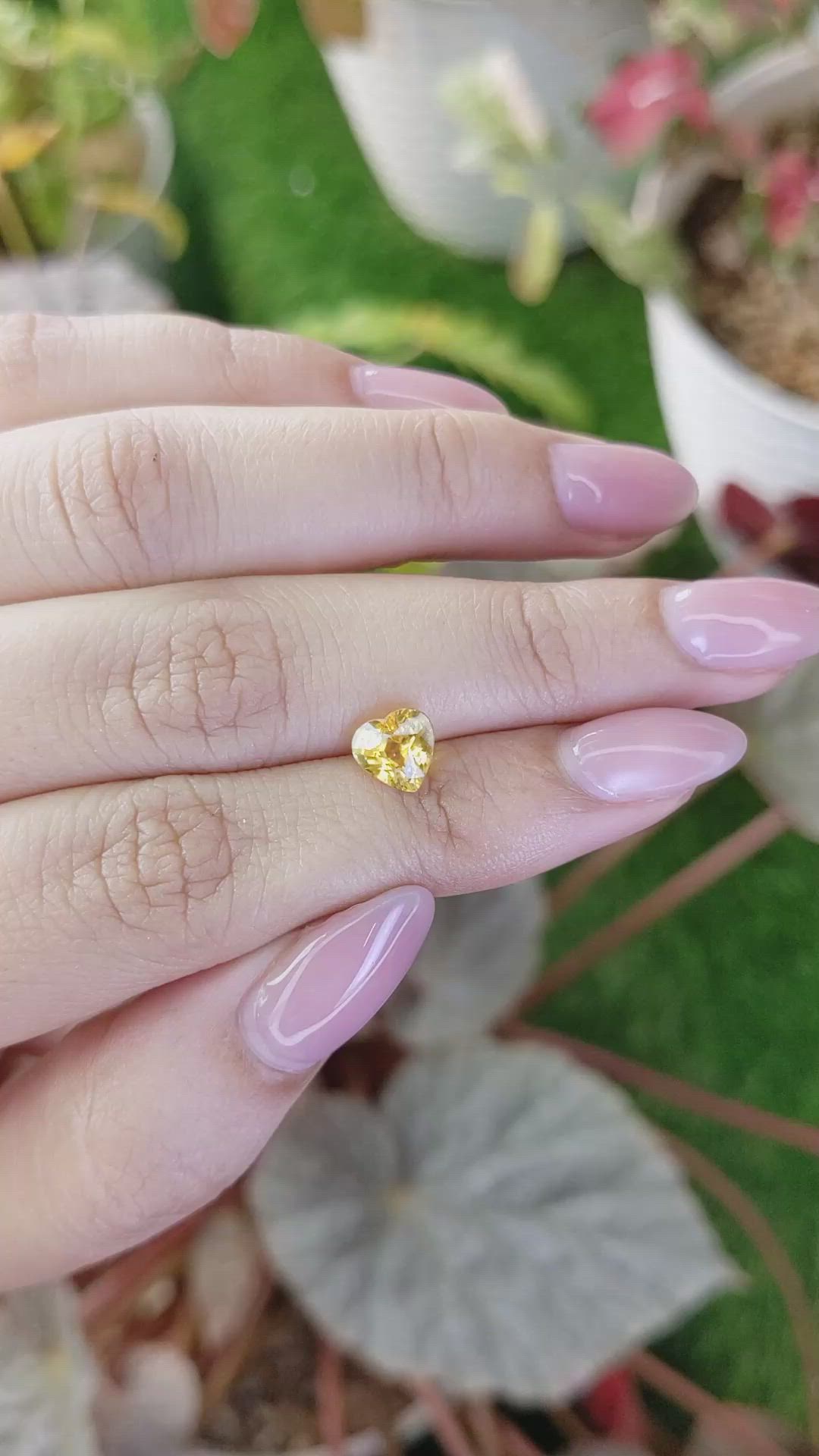 1.47 Ct. Yellow Sapphire from Ceylon (Sri Lanka) Size Video