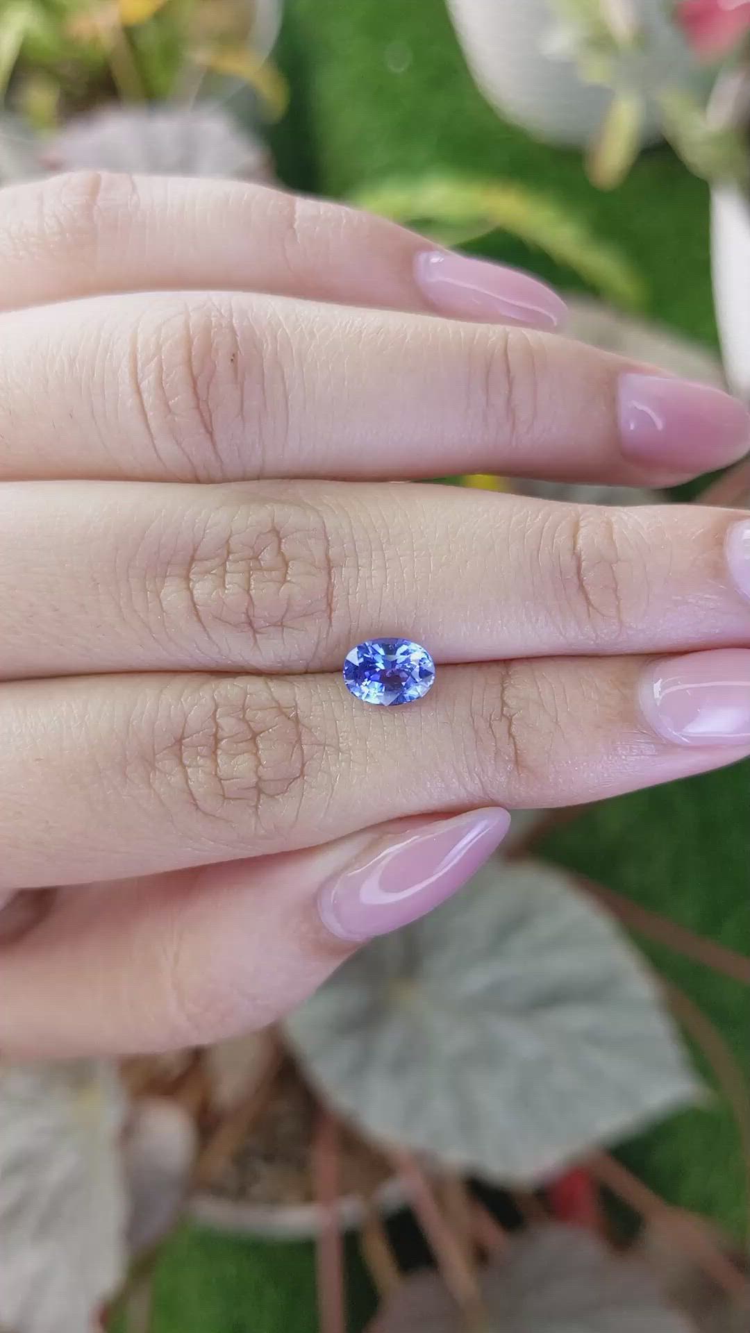 1.55 Ct. Blue Sapphire from Ceylon (Sri Lanka) Size Video