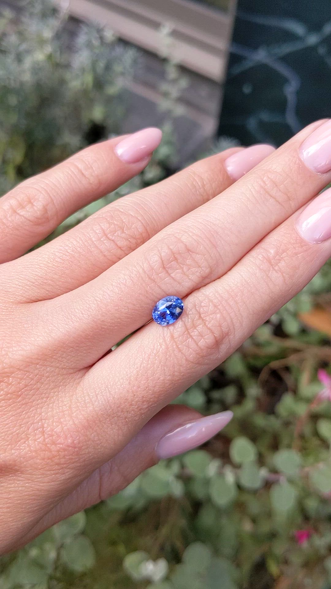 1.55 Ct. Blue Sapphire from Ceylon (Sri Lanka) Size Video