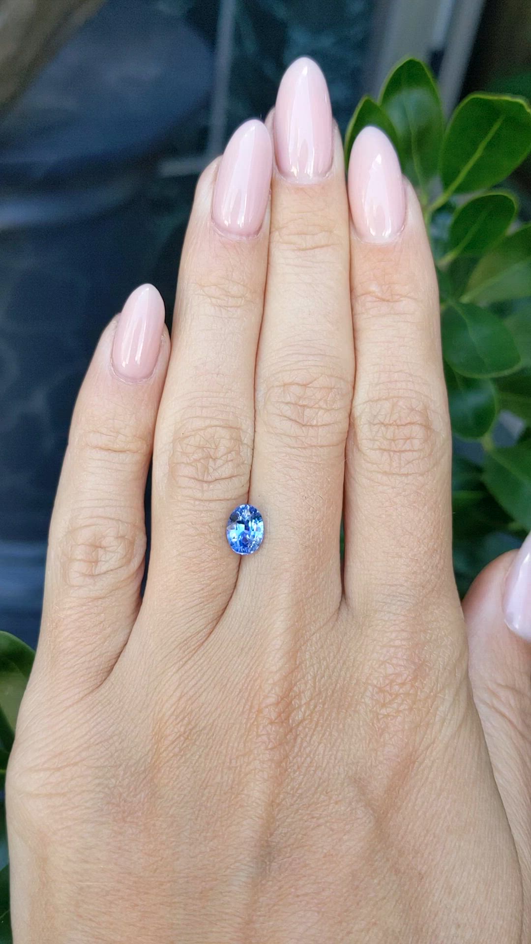 1.55 Ct. Blue Sapphire from Ceylon (Sri Lanka) Size Video