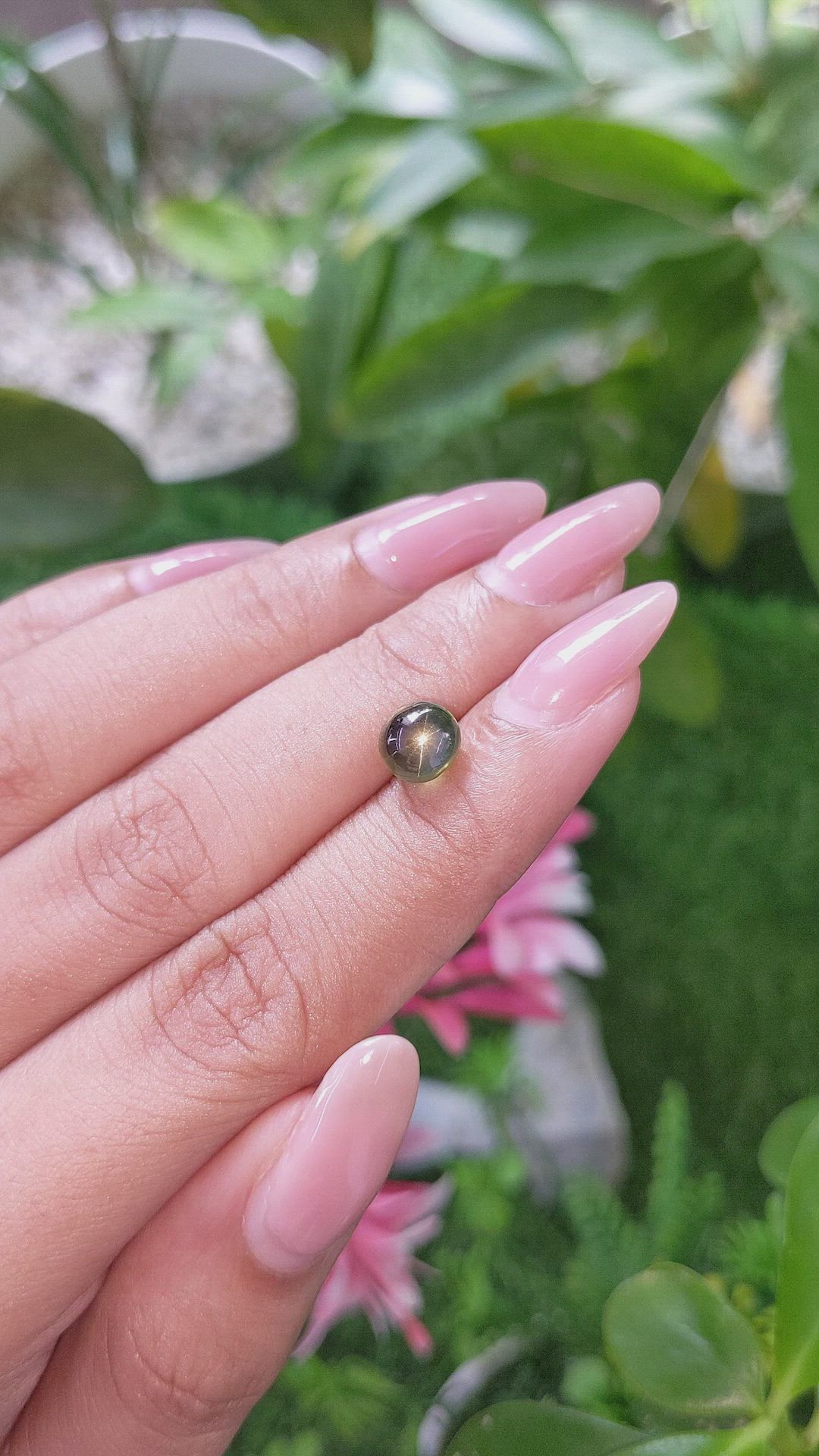 2.88 Ct. Green Star Sapphire from Ceylon (Sri Lanka) Size Video