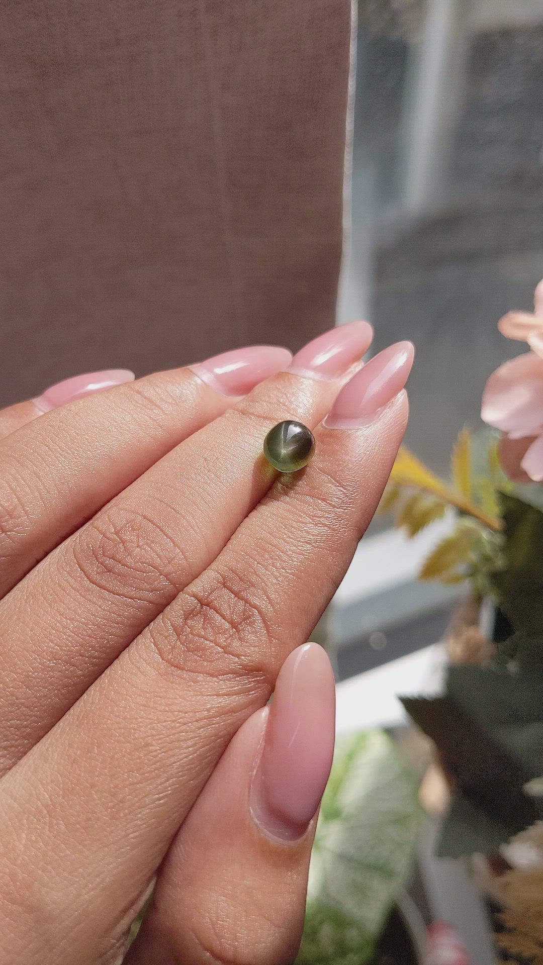 2.88 Ct. Green Star Sapphire from Ceylon (Sri Lanka) Size Video