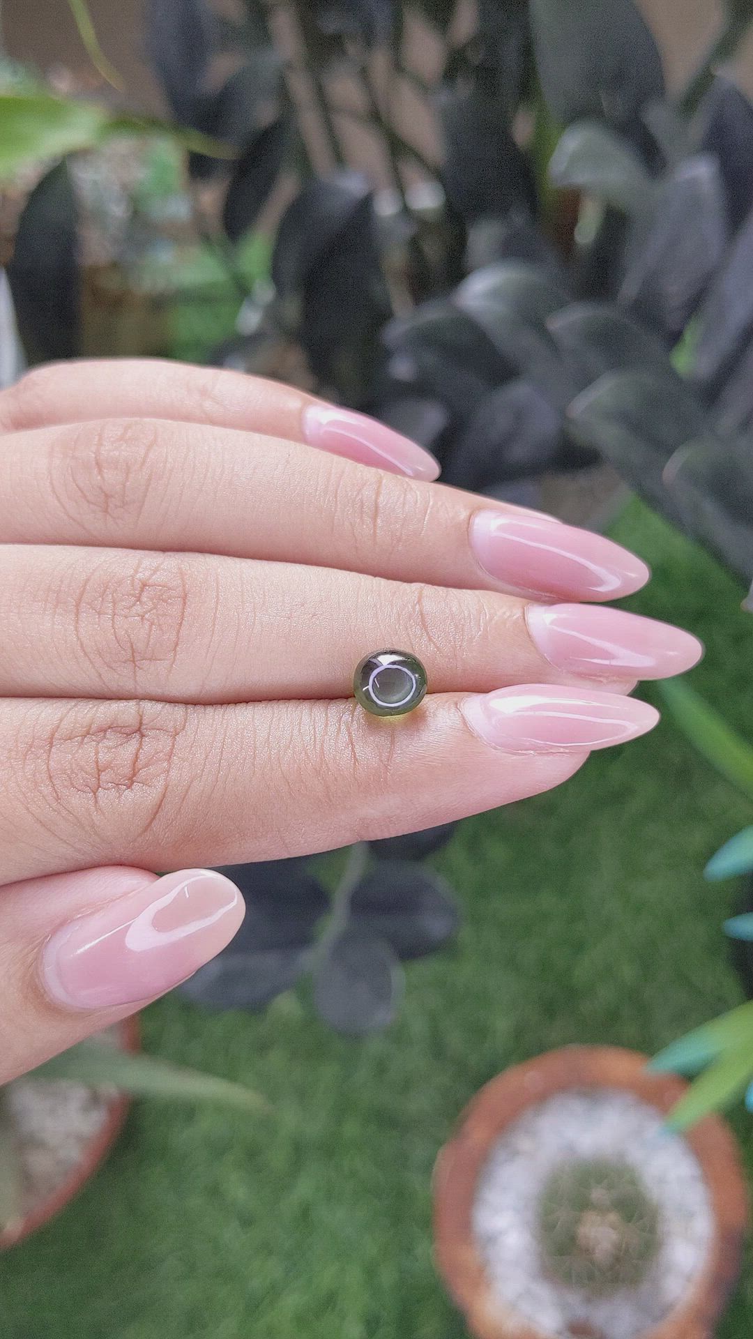 2.88 Ct. Green Star Sapphire from Ceylon (Sri Lanka) Size Video