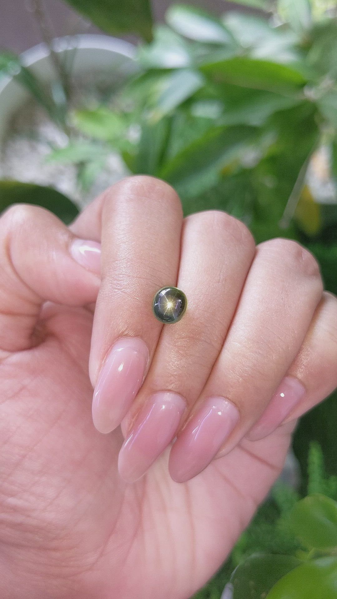 2.88 Ct. Green Star Sapphire from Ceylon (Sri Lanka) Size Video