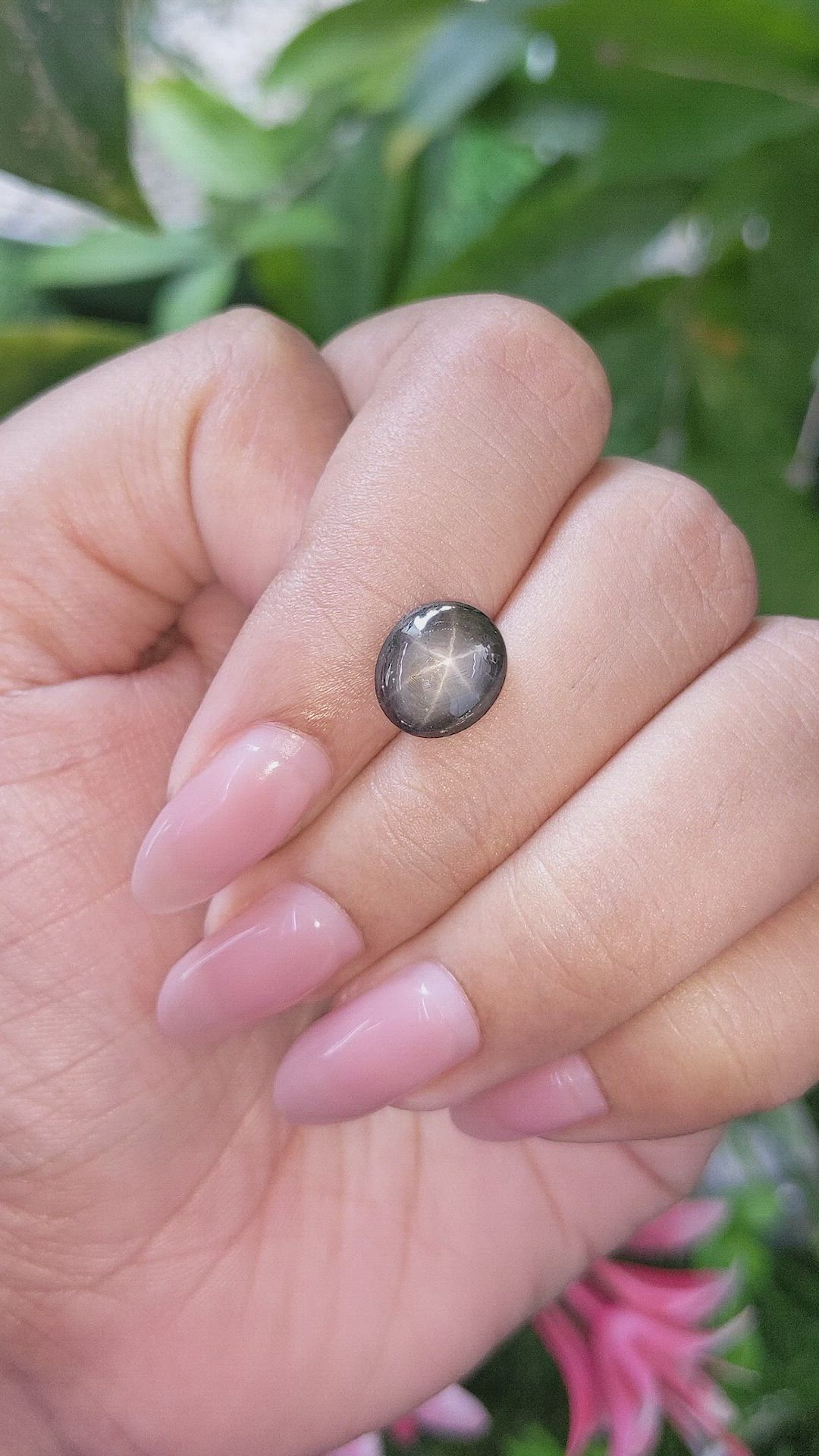 3.66 Ct. Black Star Sapphire from Ceylon (Sri Lanka) Size Video