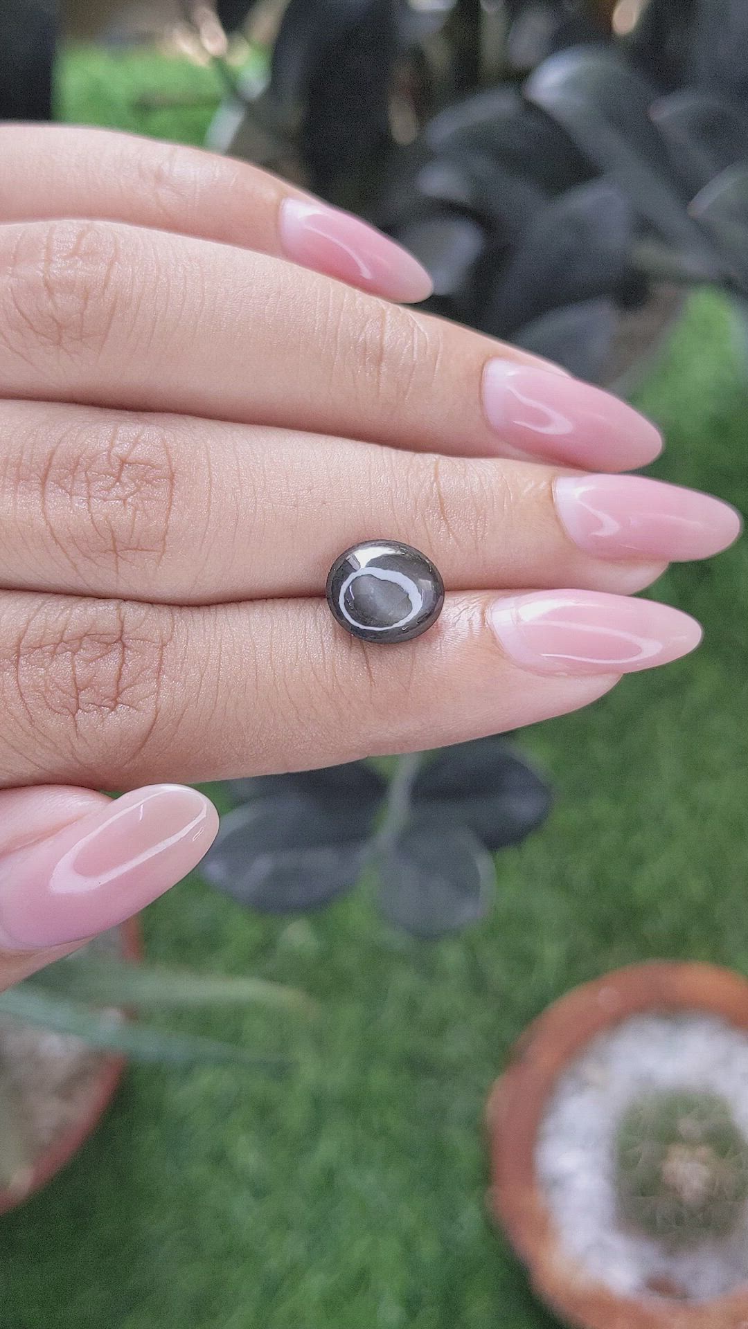 3.66 Ct. Black Star Sapphire from Ceylon (Sri Lanka) Size Video