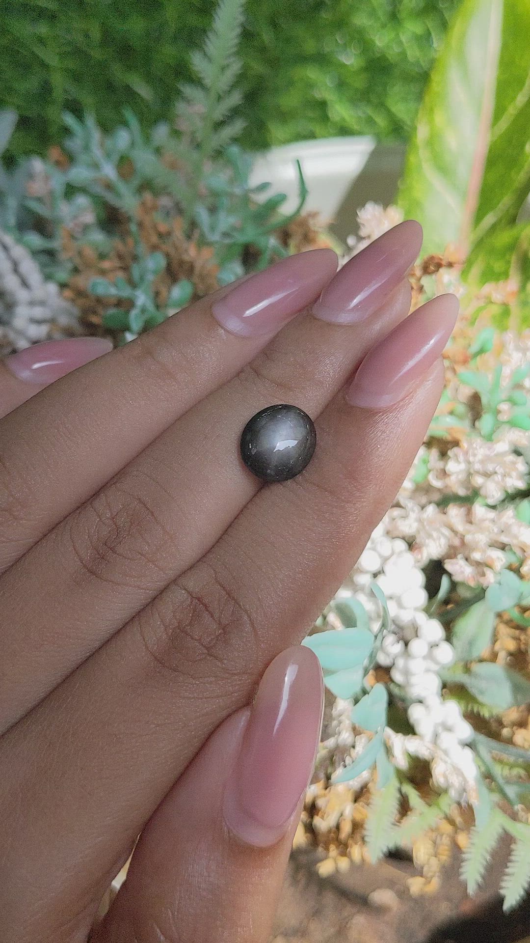 3.66 Ct. Black Star Sapphire from Ceylon (Sri Lanka) Size Video