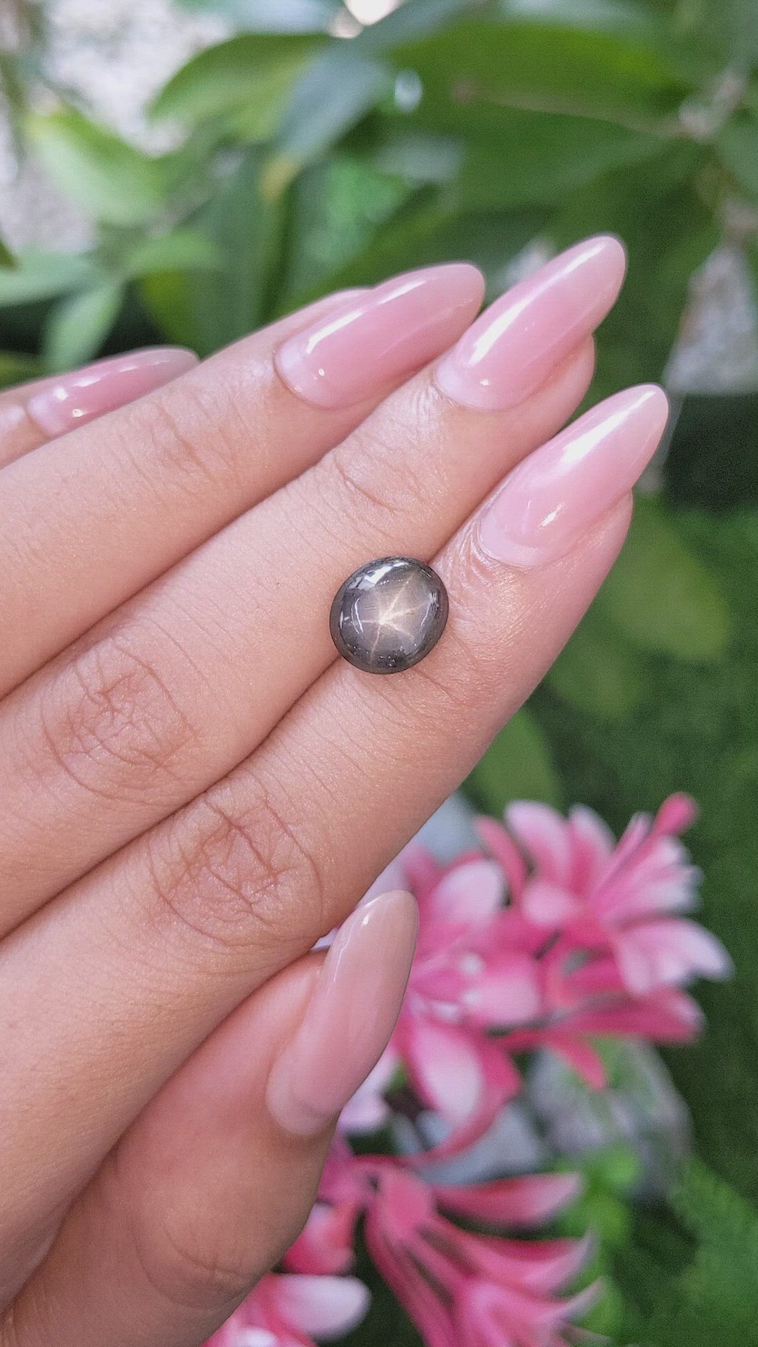 3.66 Ct. Black Star Sapphire from Ceylon (Sri Lanka) Size Video