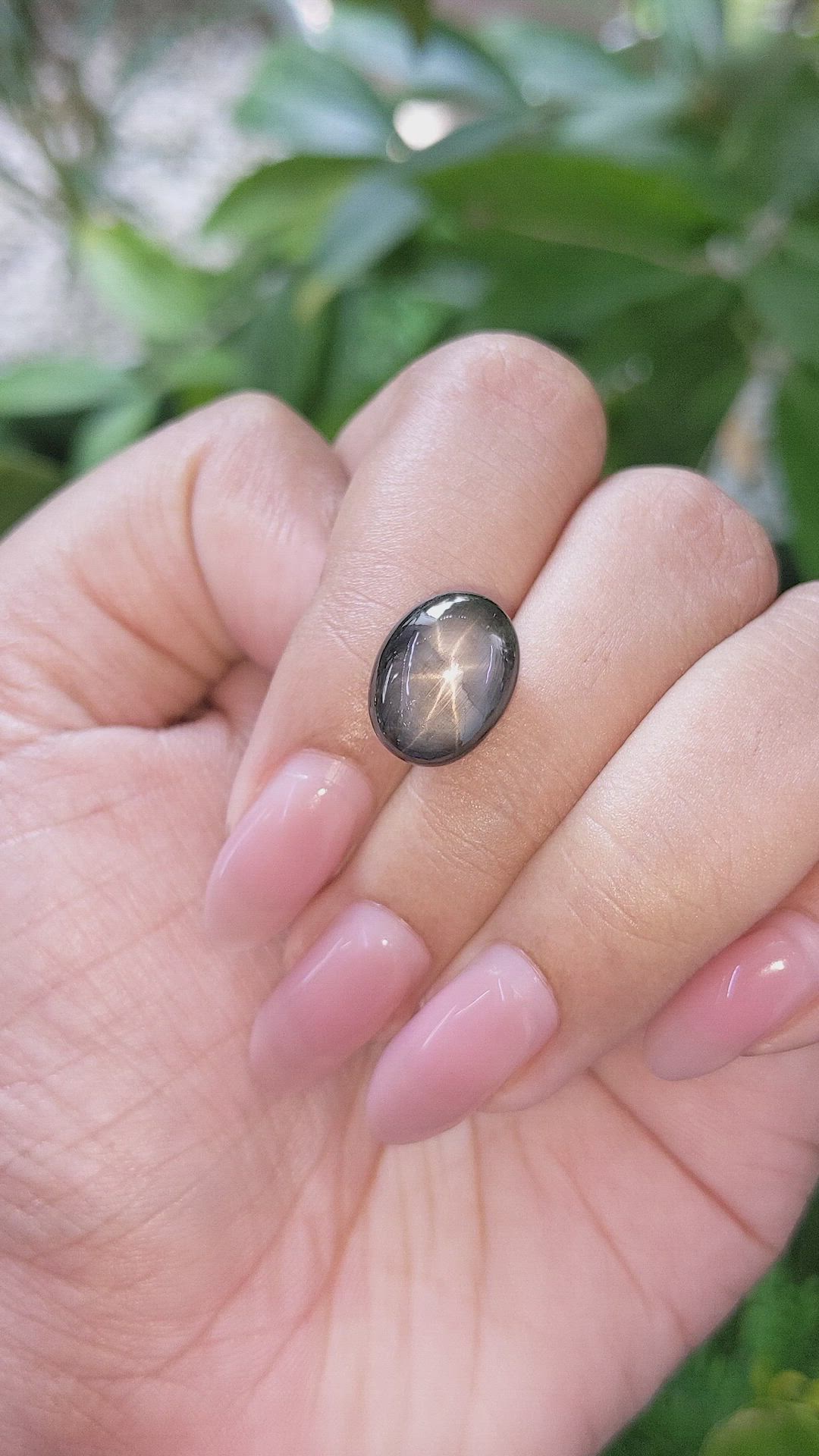 11.48 Ct. Black Star Sapphire from Ceylon (Sri Lanka) Size Video