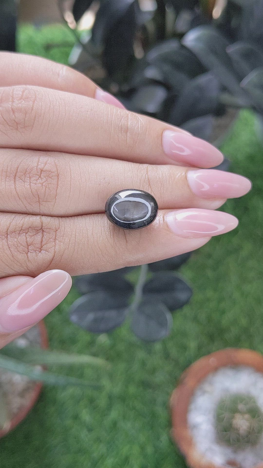 11.48 Ct. Black Star Sapphire from Ceylon (Sri Lanka) Size Video