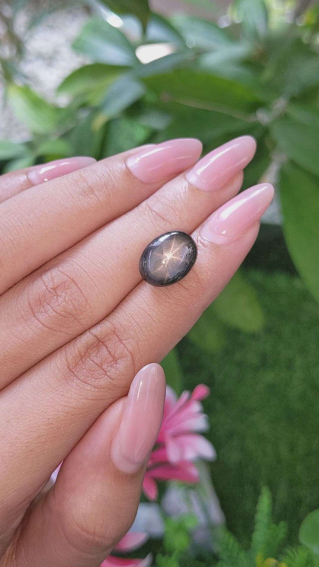 11.48 Ct. Black Star Sapphire from Ceylon (Sri Lanka) Size Video