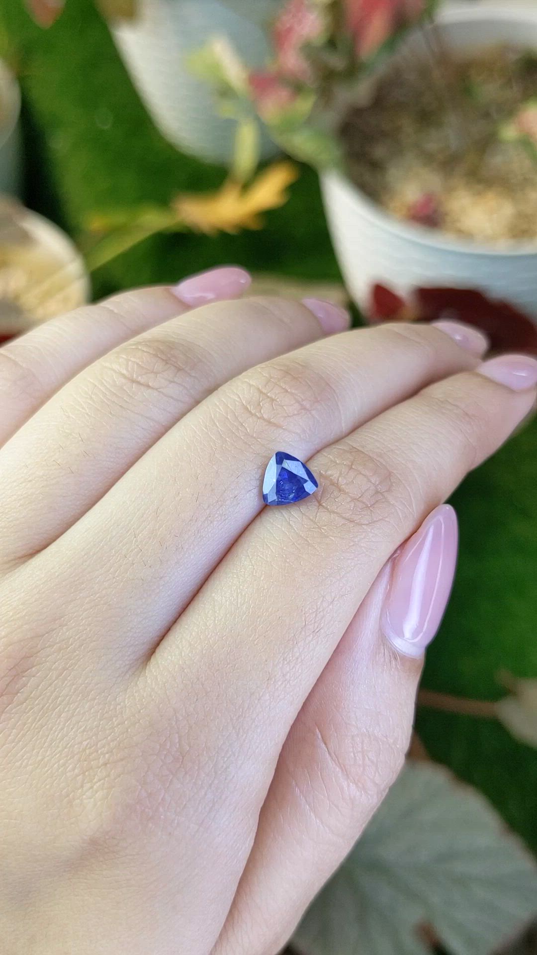 1.41 Ct. Blue Sapphire from Ceylon (Sri Lanka) Size Video