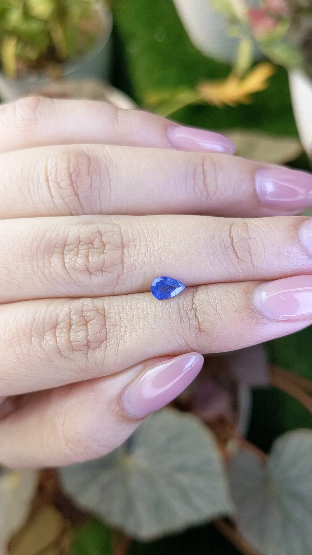 0.50 Ct. Blue Sapphire from Ceylon (Sri Lanka) Size Video