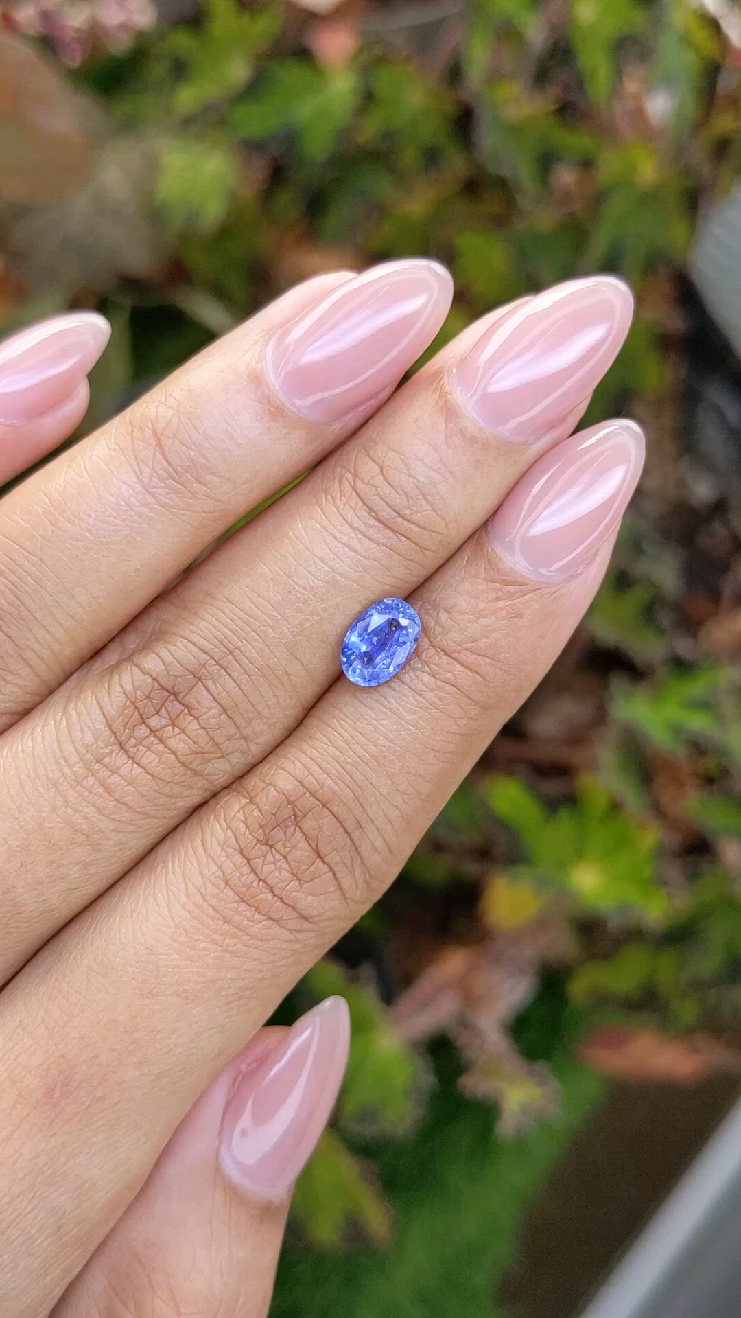 1.38 Ct. Blue Sapphire from Ceylon (Sri Lanka) Size Video
