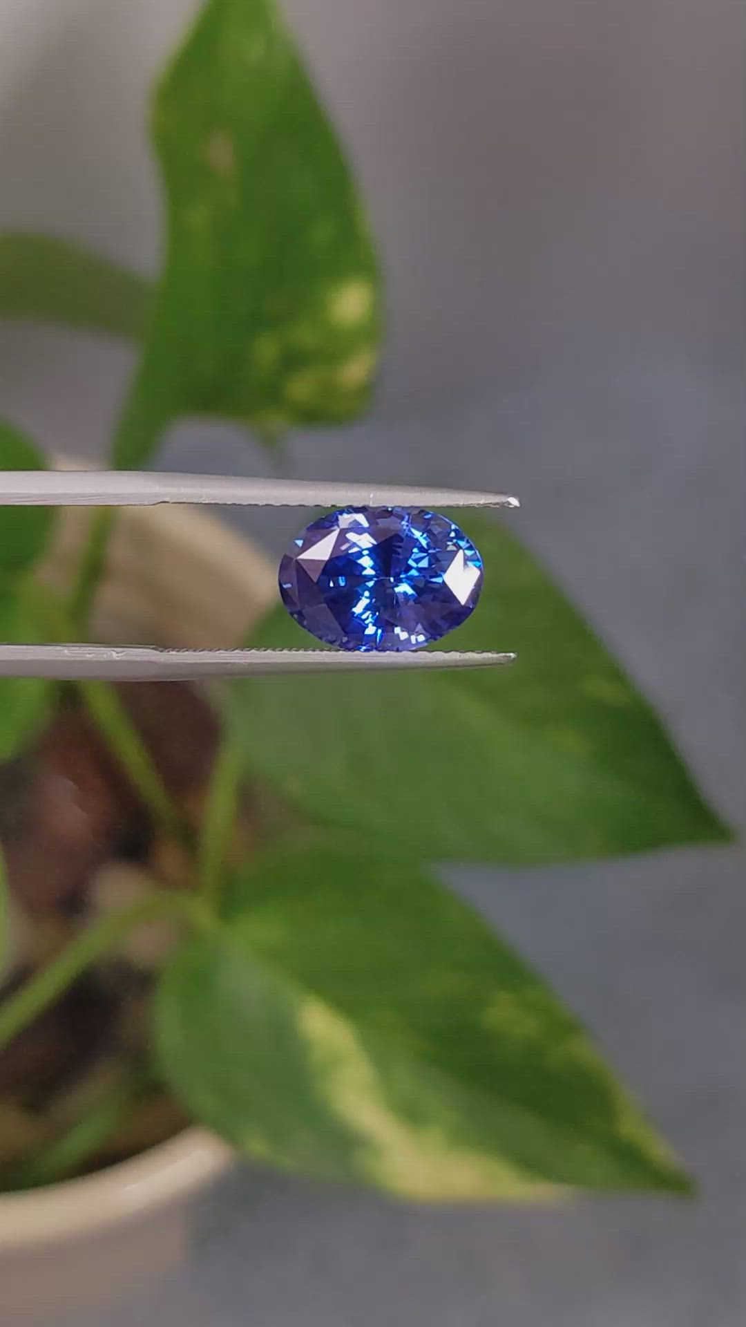 3.85 Ct. Blue Sapphire from Ceylon (Sri Lanka) Size Video