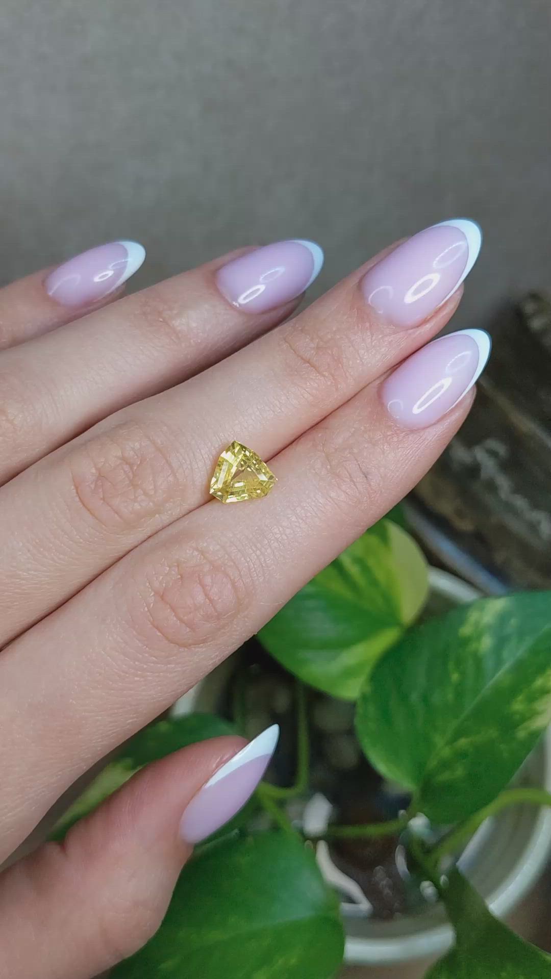 3.05 Ct. Yellow Sapphire from Ceylon (Sri Lanka) Size Video