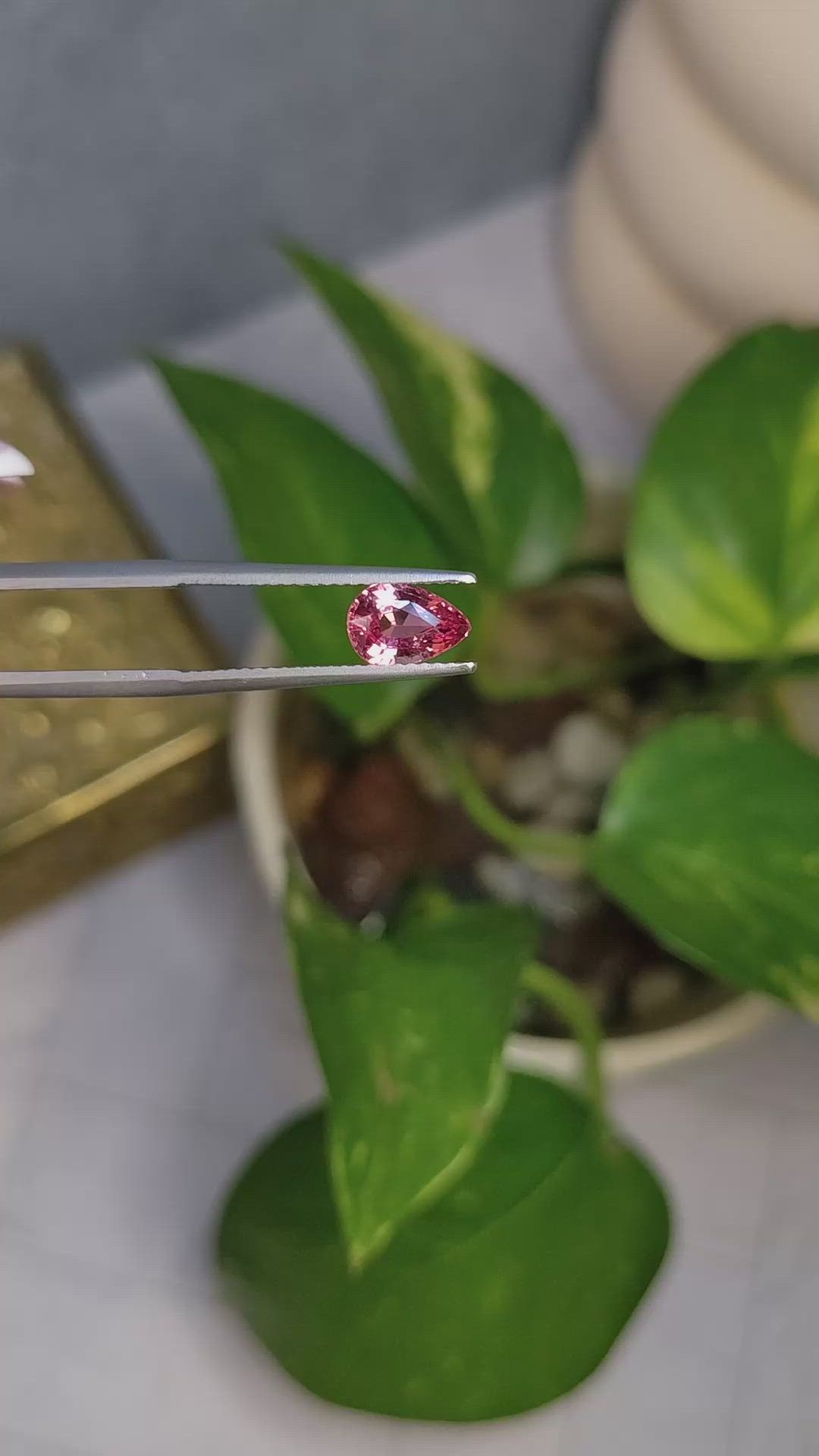 1.52 Ct. Padparadscha Sapphire from Ceylon (Sri Lanka) Size Video