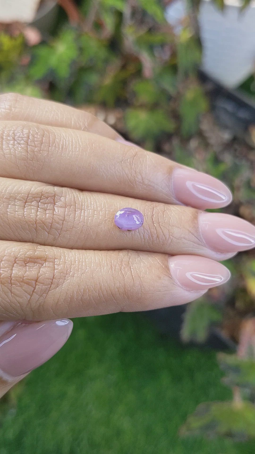 1.33 Ct. Purple Star Sapphire from Ceylon (Sri Lanka) Size Video