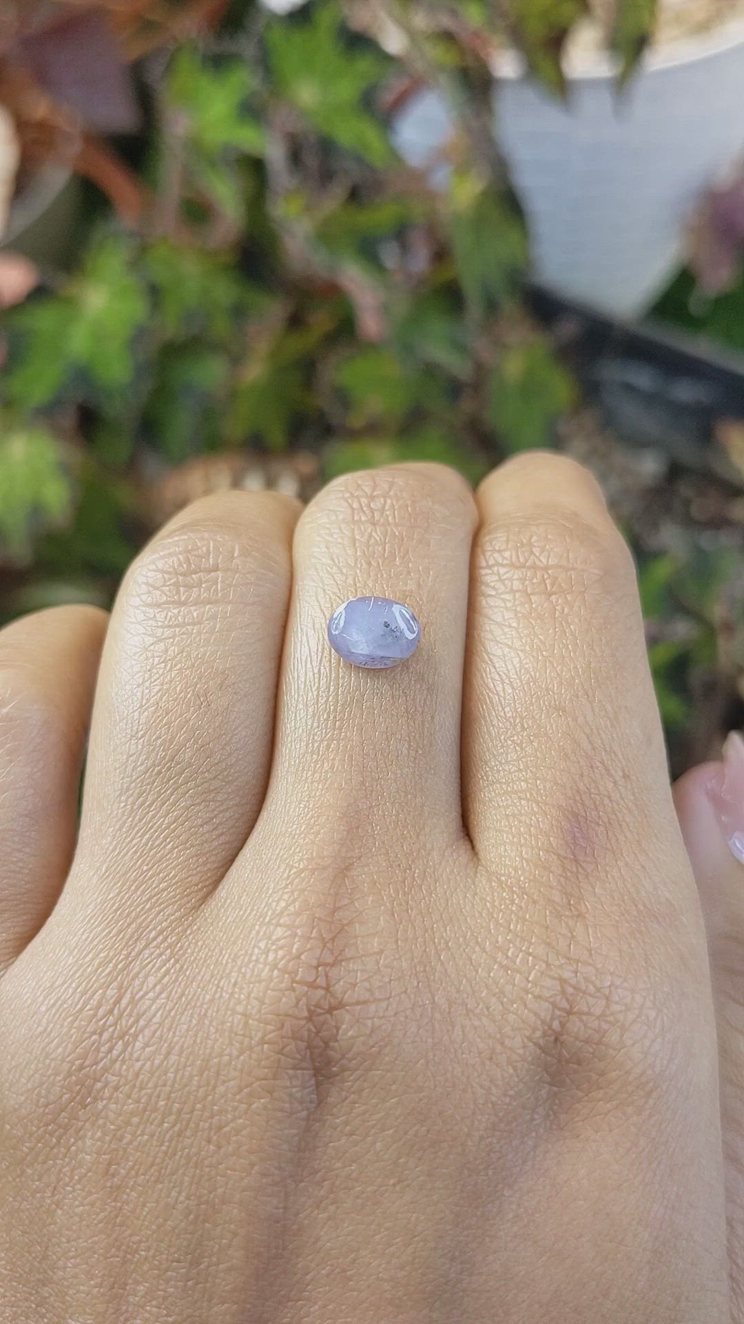 1.91 Ct. Greyish Blue Star Sapphire from Ceylon (Sri Lanka) Size Video