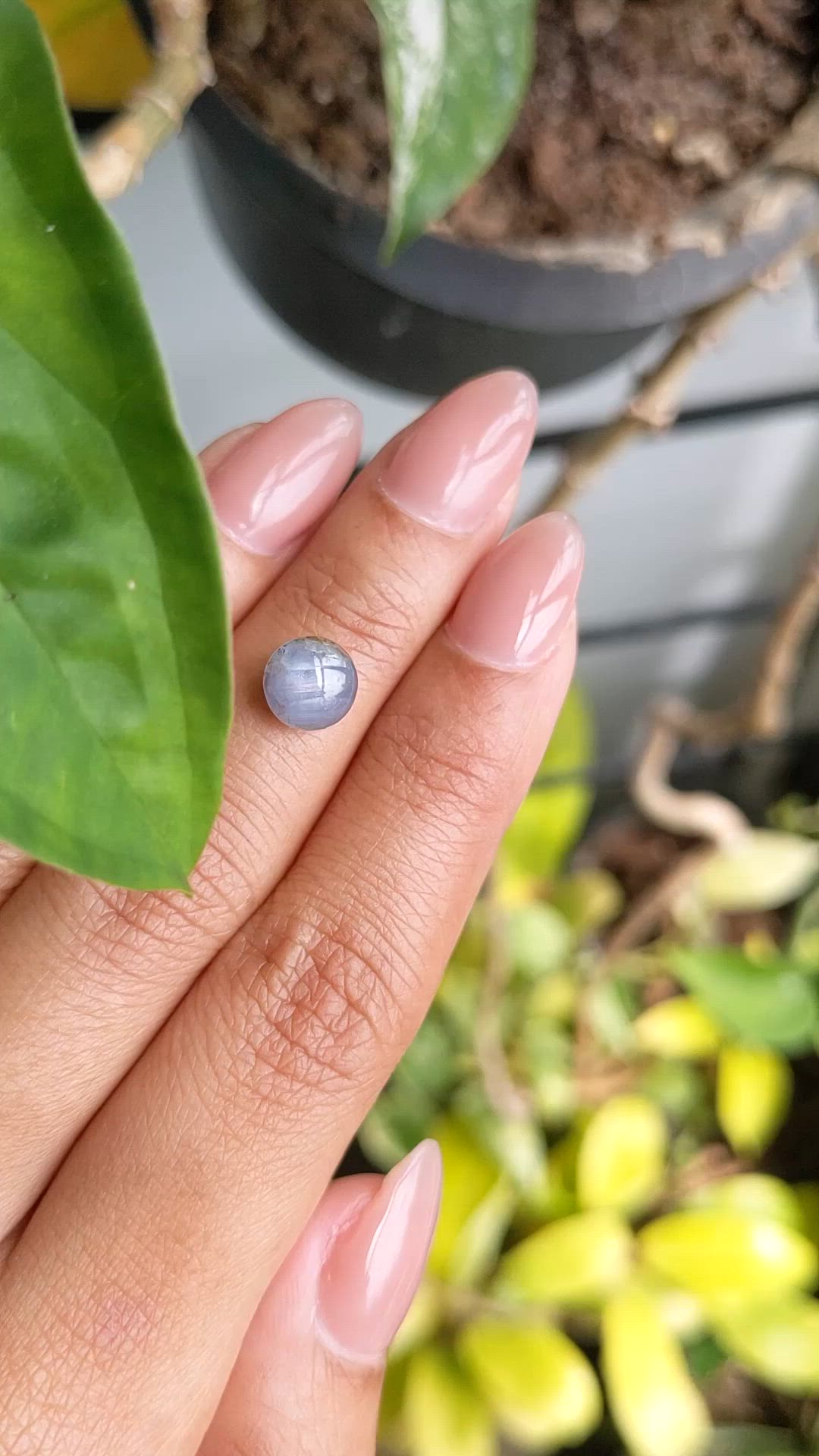 2.94 Ct. Greyish Blue Star Sapphire from Ceylon (Sri Lanka) Size Video