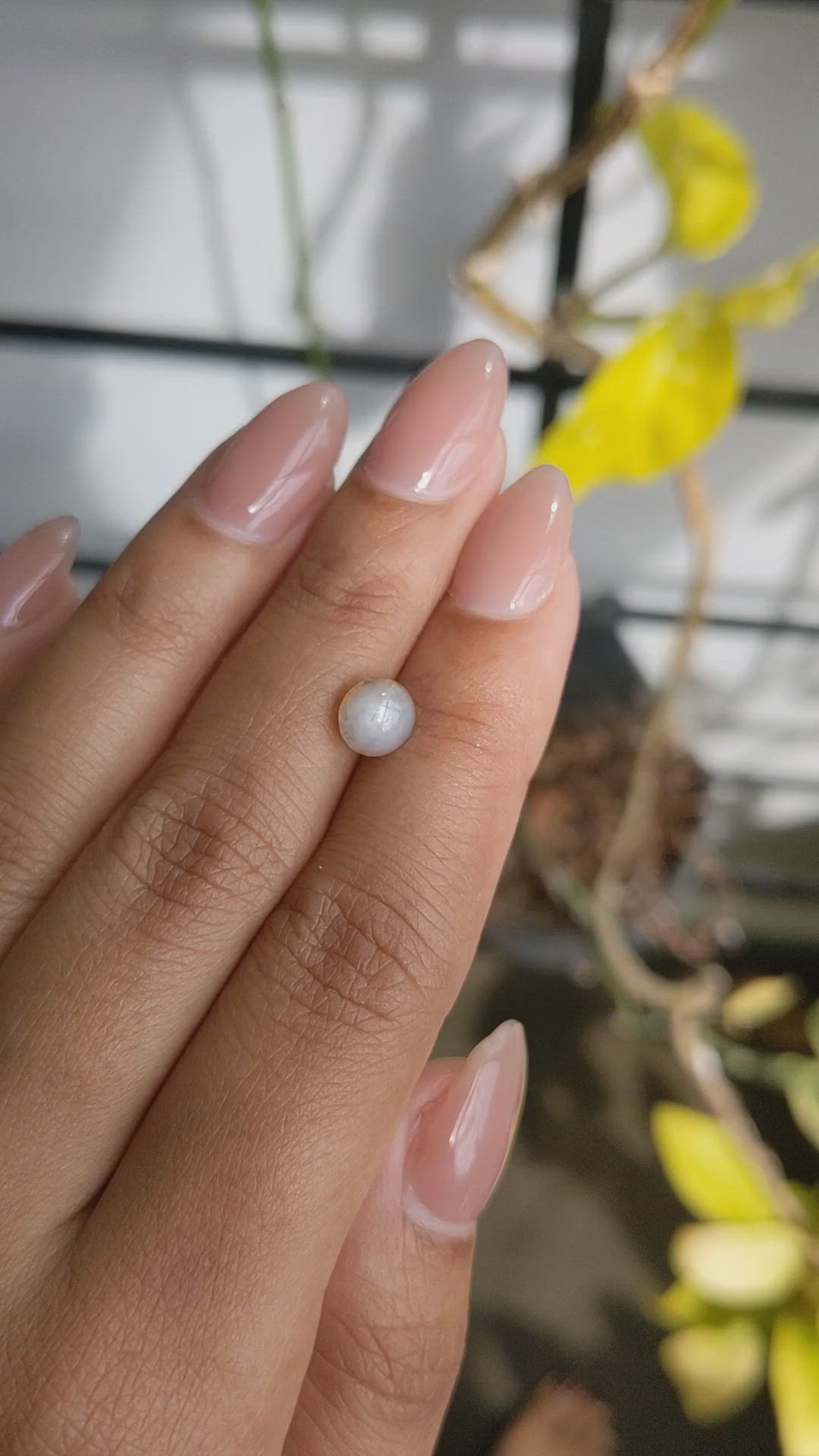 2.35 Ct. Purple Star Sapphire from Ceylon (Sri Lanka) Size Video